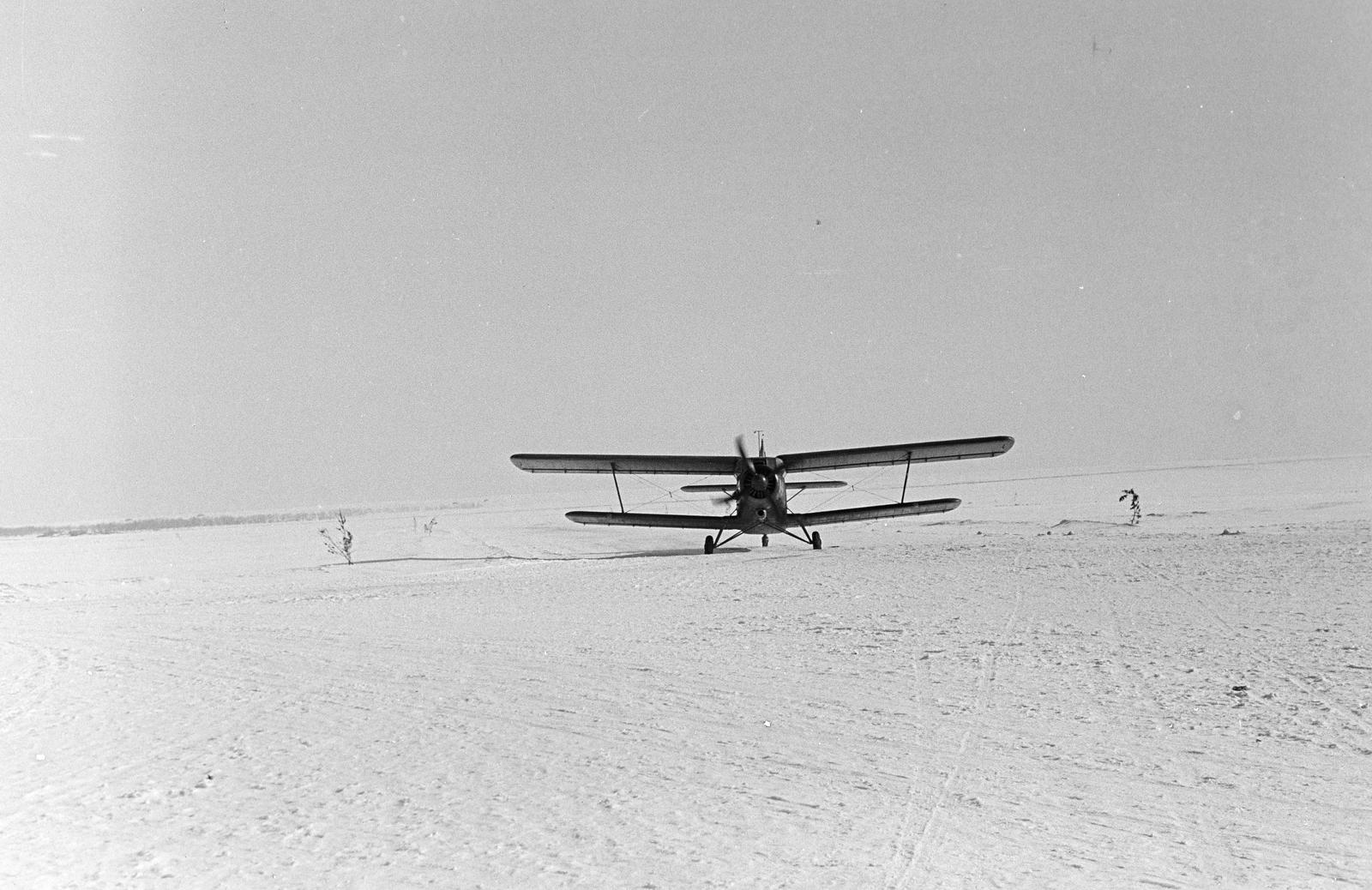 1960, Dusik, biplán, Antonov An-2, Antonov-márka, repülőgép, Fortepan #291905