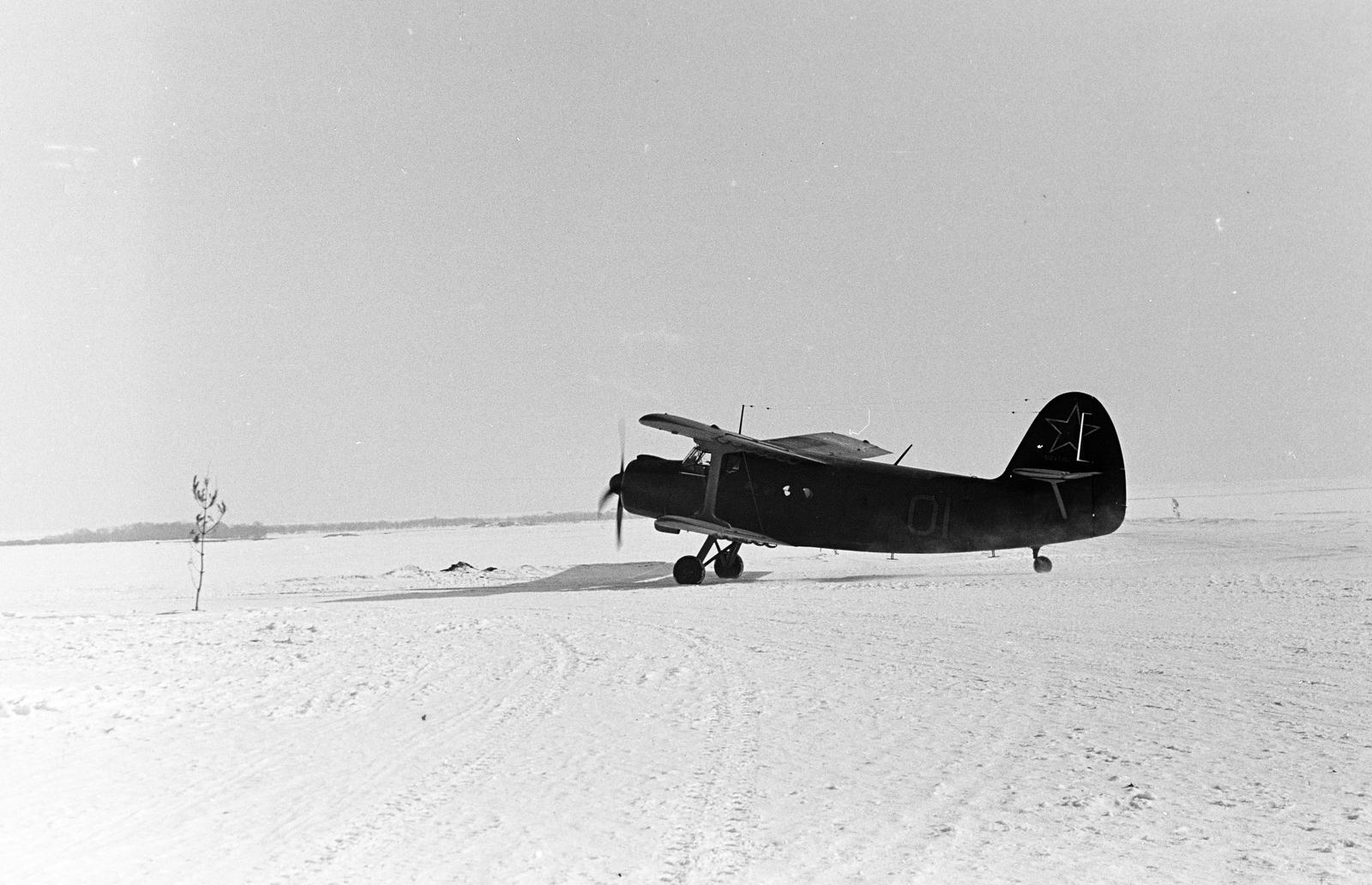 1960, Dusik, biplán, Antonov An-2, Antonov-márka, repülőgép, Fortepan #291906