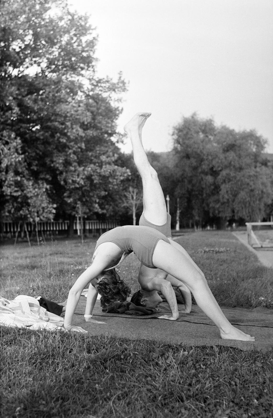 1960, Dusik, feat, Fortepan #291957