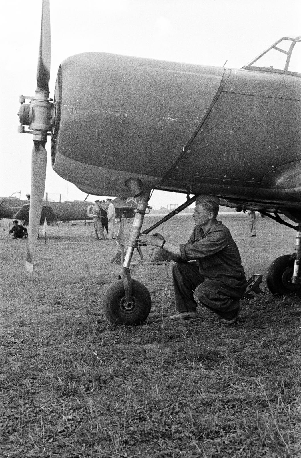 1962, Dusik, man, squatting, propeller, Fortepan #292211