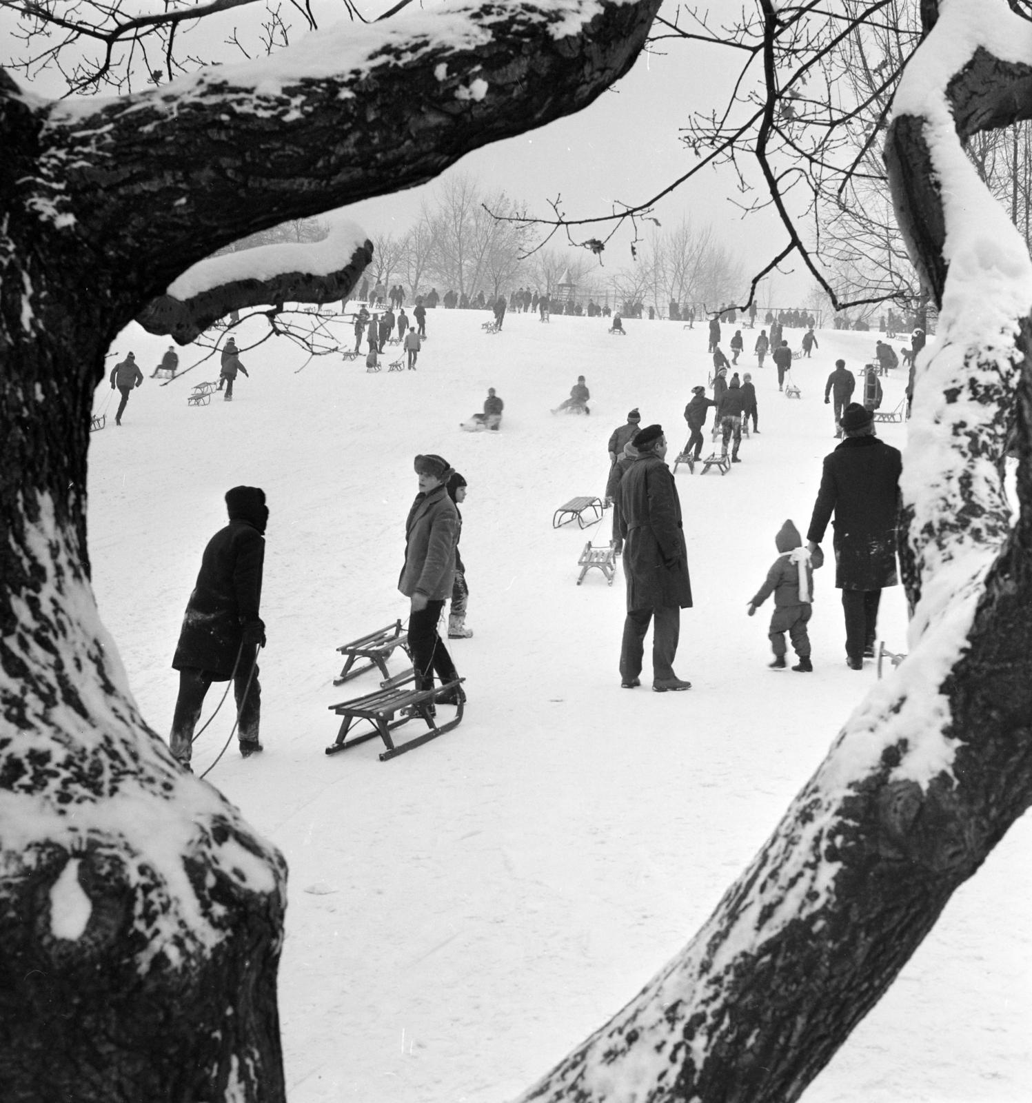 1968, Inkey Tibor, sledge, snowy landscape, winter, wood, snow, Best of, Fortepan #292489