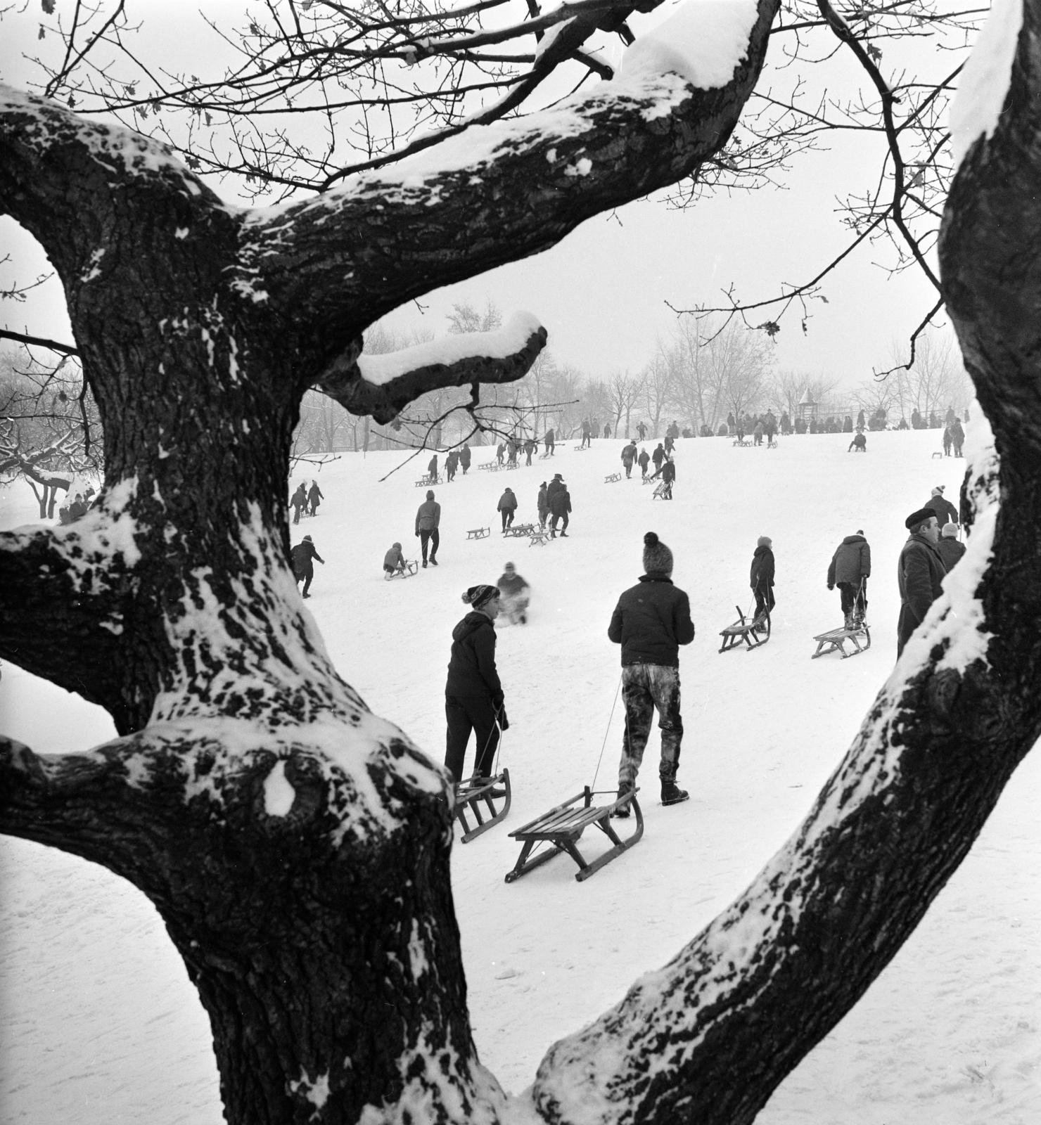 1968, Inkey Tibor, sledge, Fortepan #292490