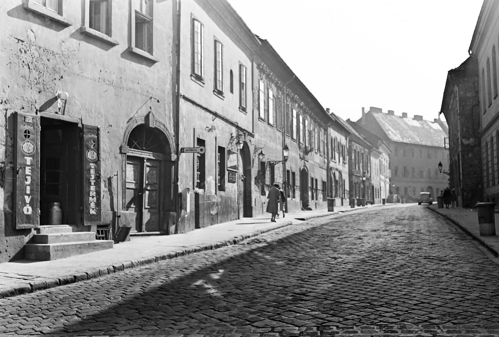 Magyarország, budai Vár, Budapest I., Táncsics Mihály utca a Bécsi kapu tér felől nézve., 1962, Inkey Tibor, buszmegálló, tejeskanna, kuka, tejivó, Közért Vállalat, utcakép, Budapest, Fortepan #292587