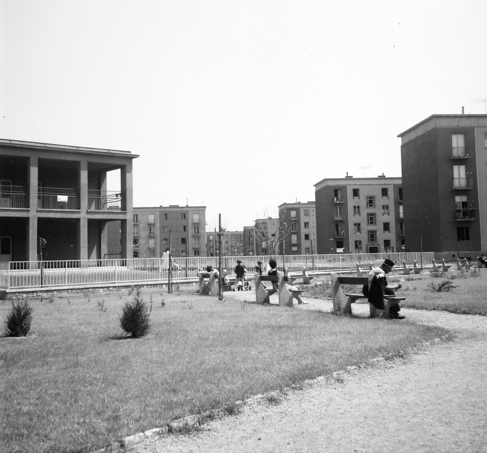 1963, Inkey Tibor, blocks, bench, sapling, Fortepan #292590