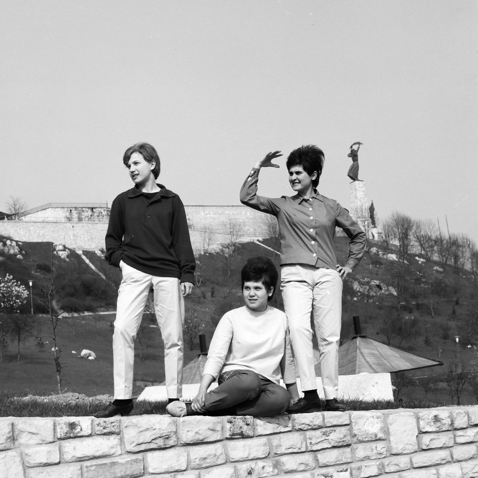 Magyarország, Gellérthegy, Budapest XI., déli lejtője a Citadella alatt, a felvétel a Jubileumi parknál készült., 1973, Inkey Tibor, Budapest, Fortepan #292609
