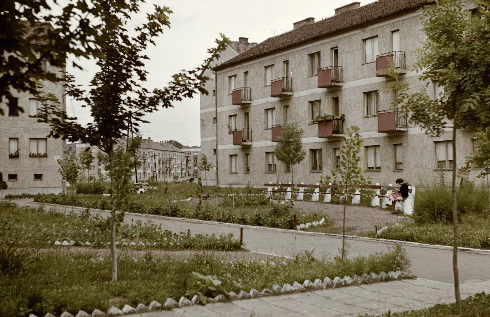 Magyarország, Bátonyterenye, Nagybátony (ekkor önálló), Rimay János út a Liget út felé nézve., 1960, Építésügyi Dokumentációs és Információs Központ, VÁTI, színes, park, lakótelep, városkép, Fortepan #29261