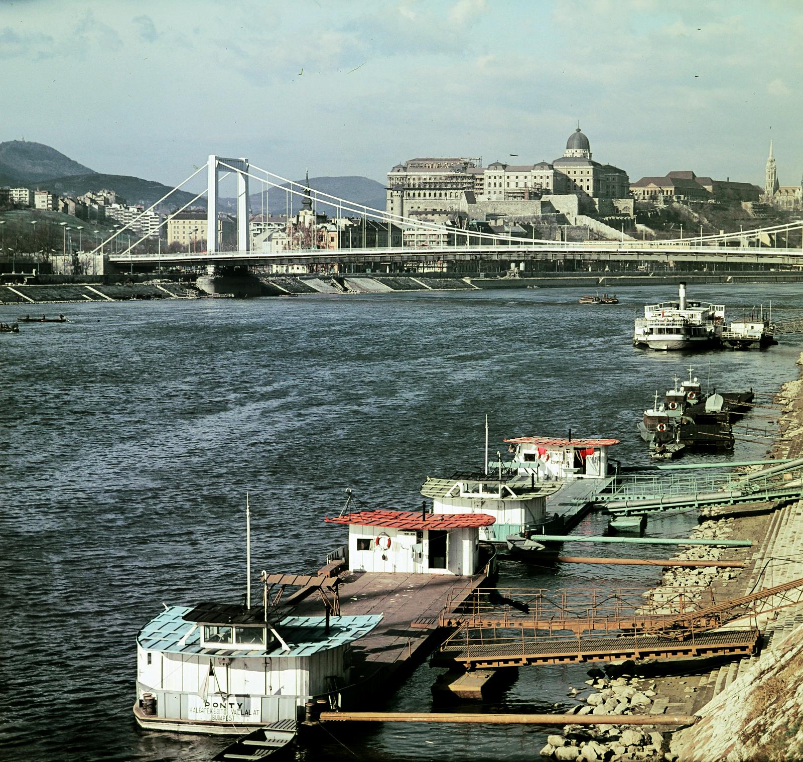 Magyarország, Budapest V.,Budapest I., pesti alsó rakpart a Szabadság híd pesti hídfőjénél. Előtérben haltároló bárkák a Dunán, szemben az Erzsébet híd, mögötte a Budavári Palota (korábban Királyi Palota)., 1966, Inkey Tibor, Budapest, színes, képarány: négyzetes, palló, folyópart, hullámzás, haltároló bárkák, Fortepan #292710