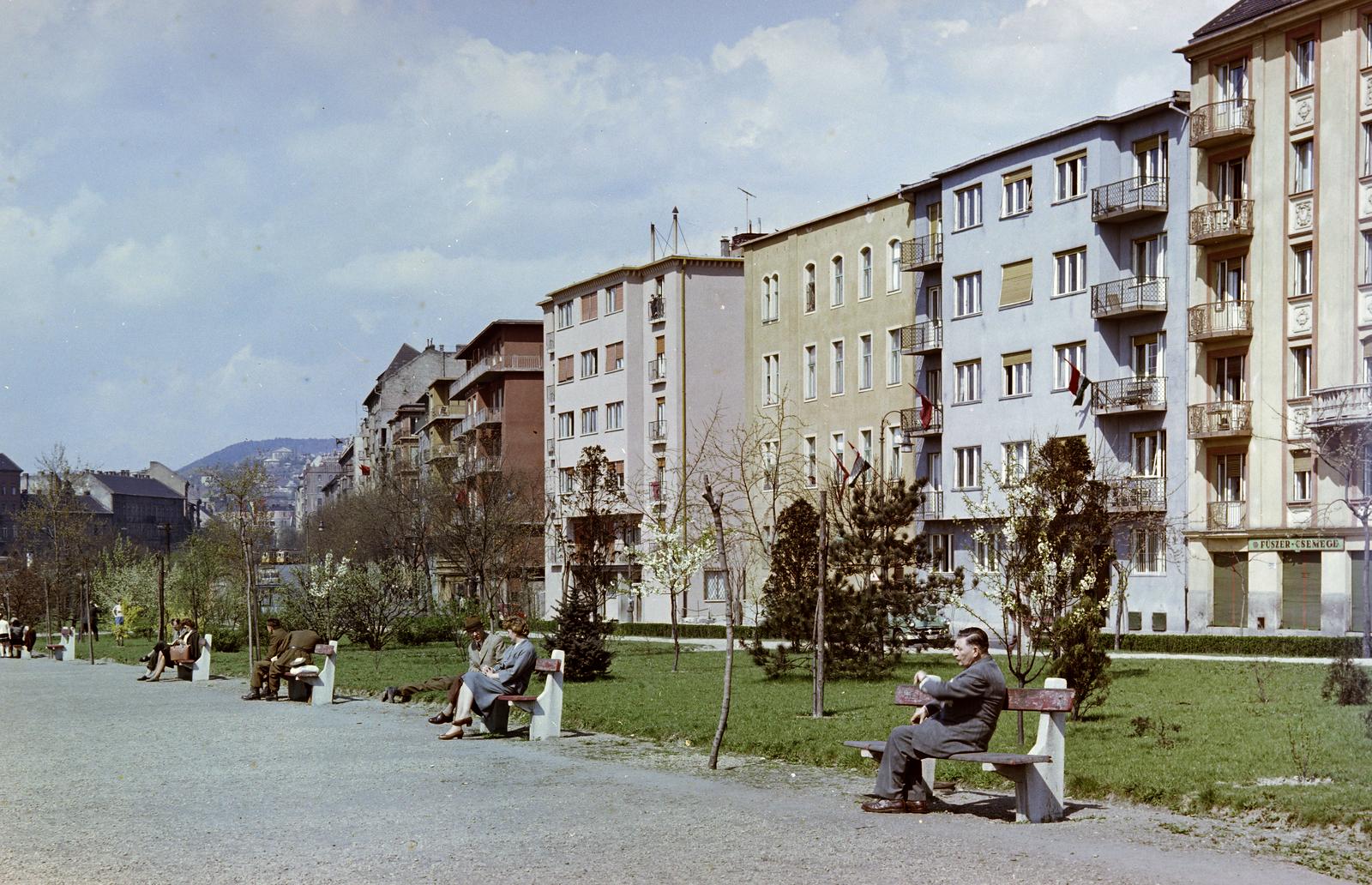 Hungary, Budapest I., Vérmező, jobbra az Attila út házsora, szemben a Rózsadomb látható., 1963, Inkey Tibor, Budapest, colorful, rest area, bench, sapling, Fortepan #292752