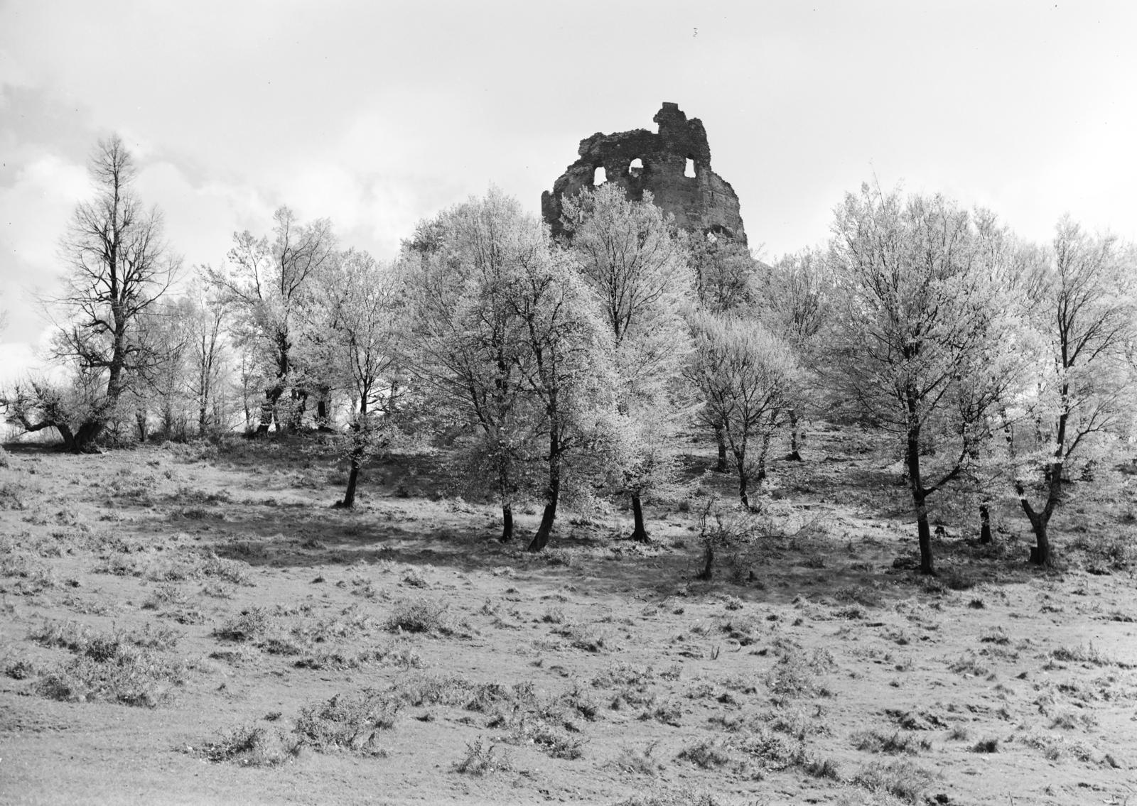 Hungary, Hollókő, Hollókői vár., 1955, Inkey Tibor, castle ruins, Fortepan #292765