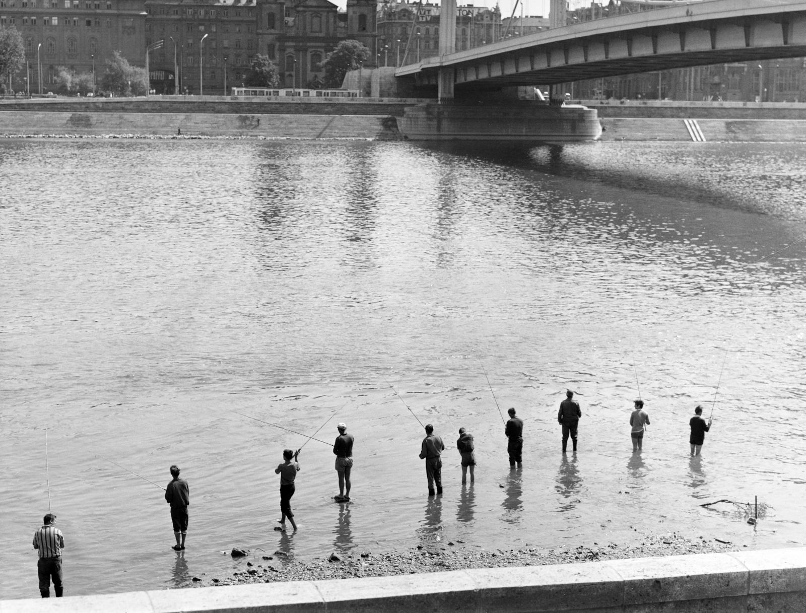 Hungary, Budapest I.,Budapest V., Döbrentei tér, Erzsébet híd, a Duna túlpartján szemben a Március 15. tér., 1969, Inkey Tibor, Best of, Danube, summer, fishing, Budapest, Fortepan #292783