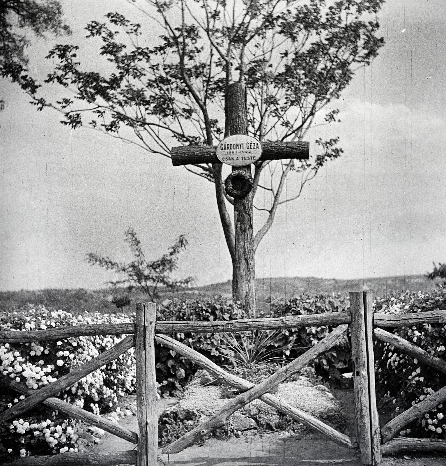 Magyarország, Eger, Gárdonyi Géza sírja a várban., 1938, Kenderessy Tibor, síremlék, egér, Fortepan #292978