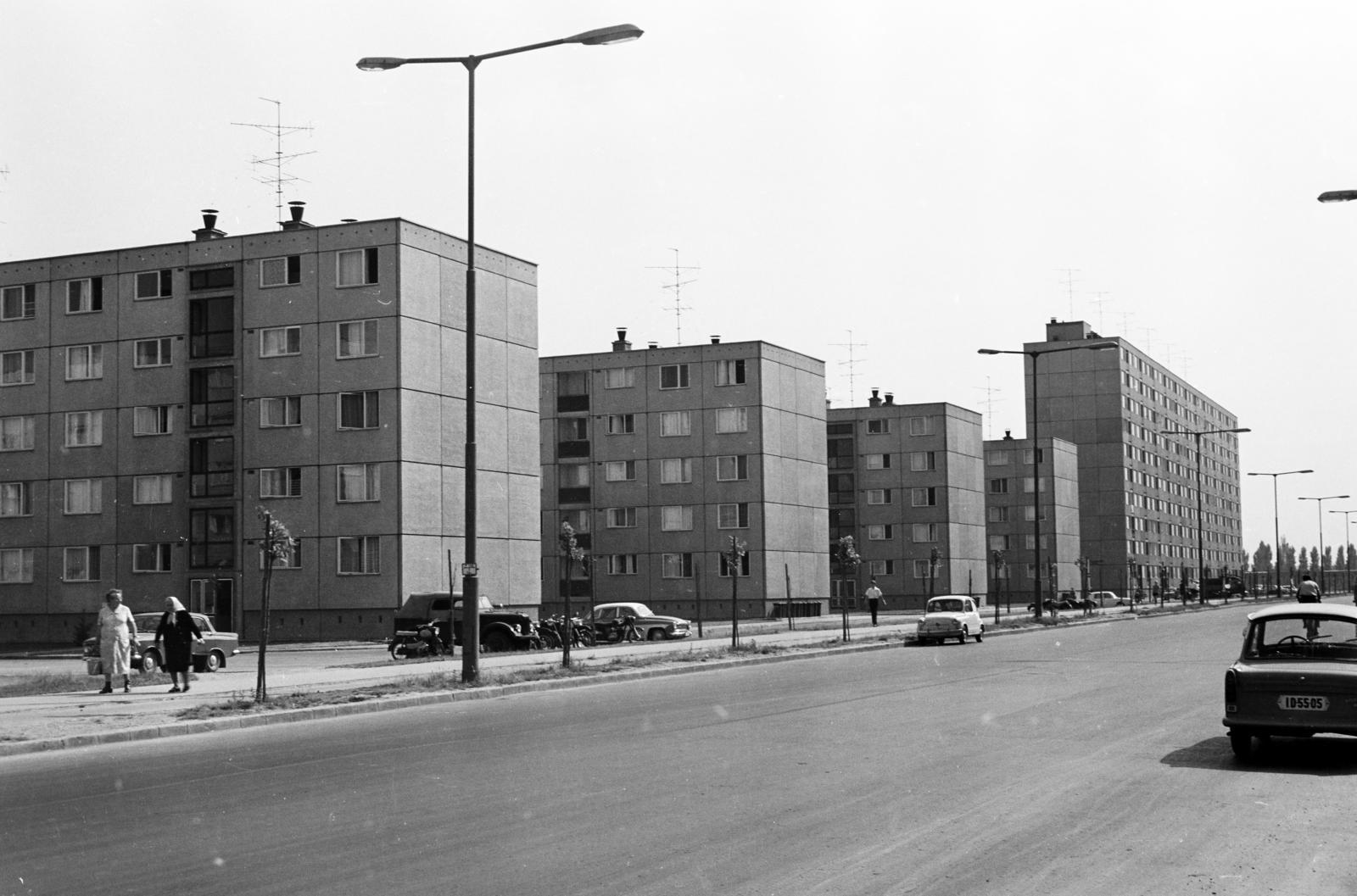 Magyarország, Győr, Szigethy Attila (Felszabadulás) út., 1970, Kenderessy Tibor, parkoló, lakótelep, panelház, facsemete, Fortepan #293022