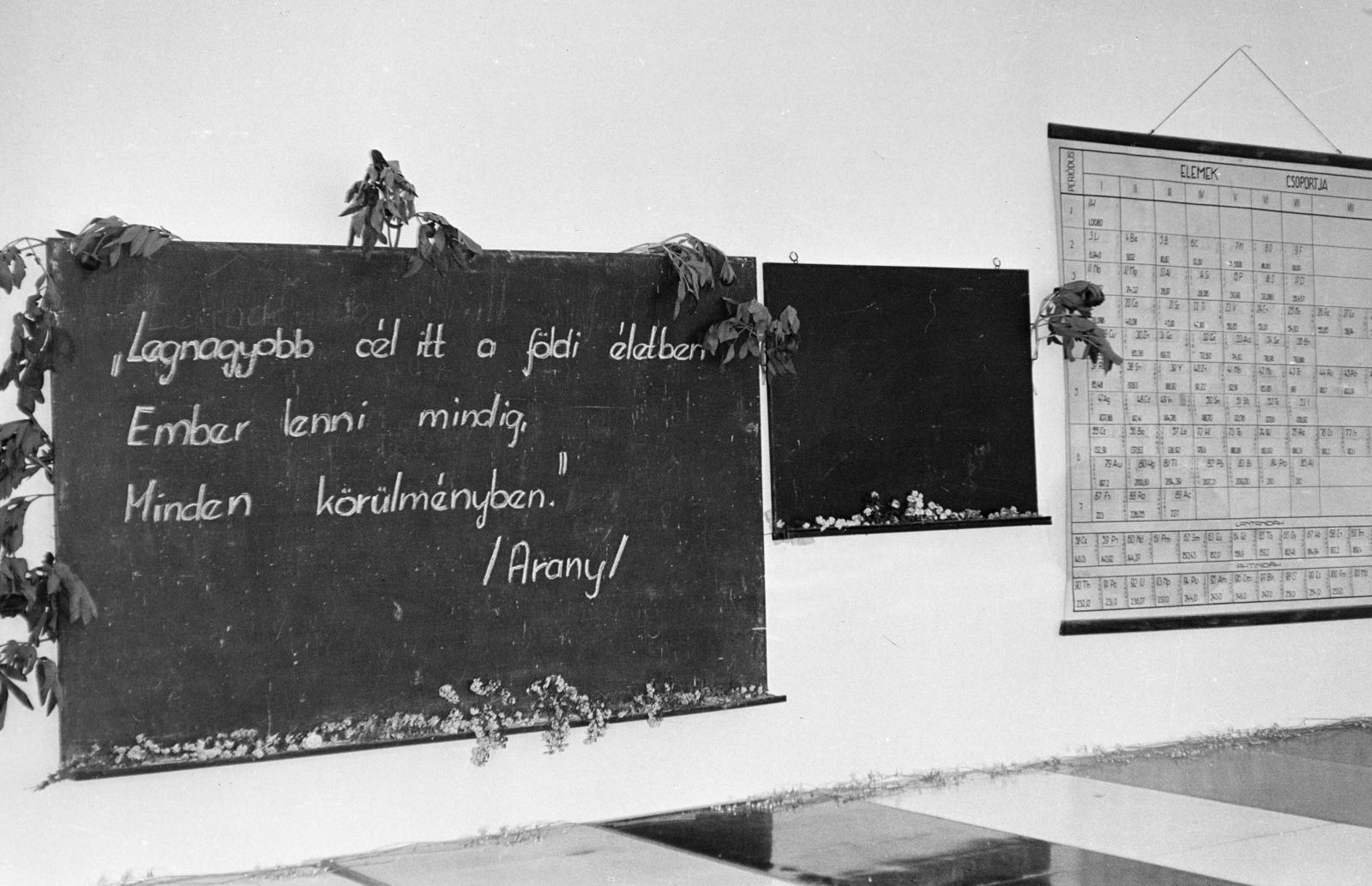 1972, Kenderessy Tibor, blackboard, periodic table, Fortepan #293115