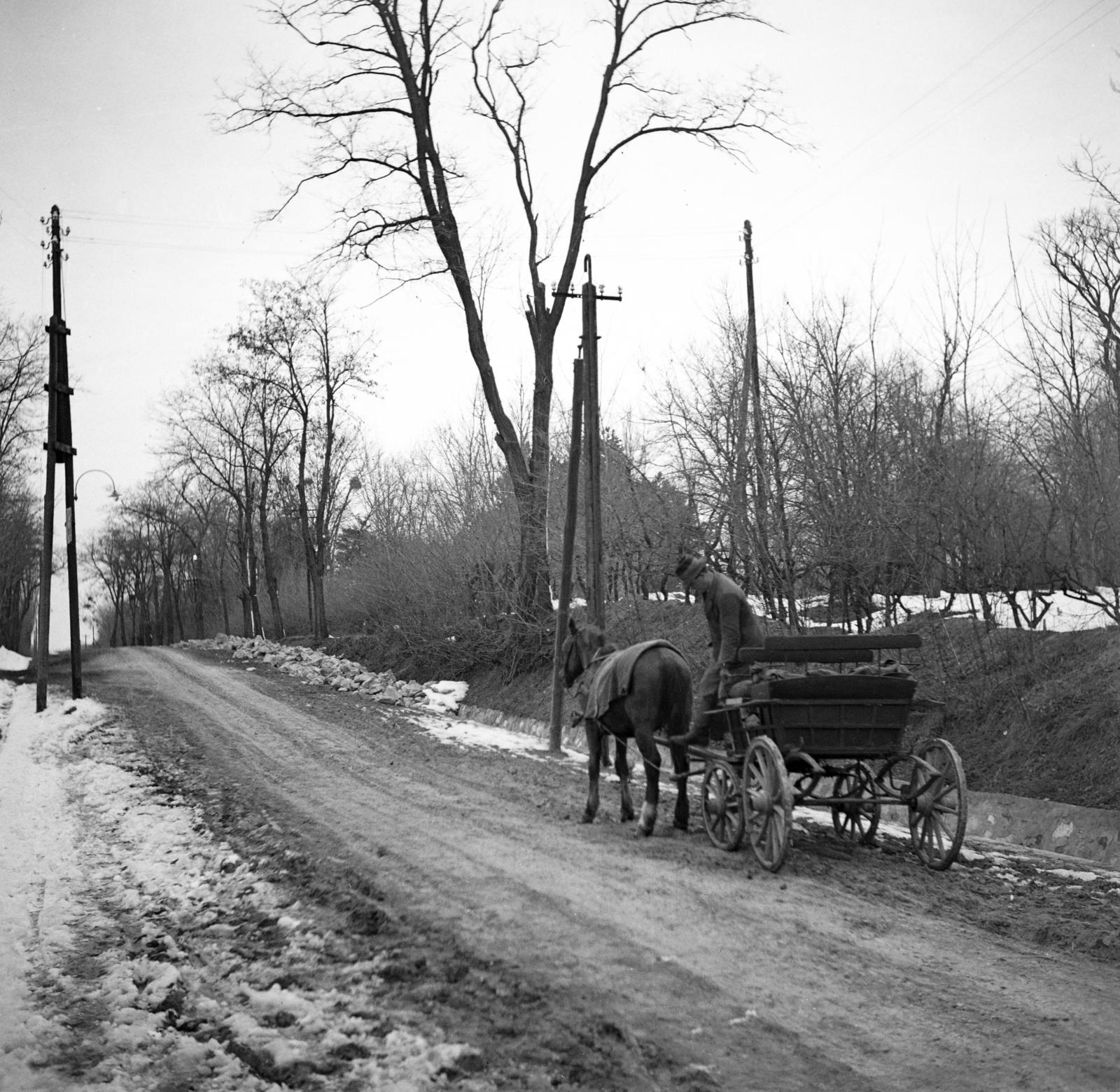 1953, Kenderessy Tibor, dirt road, Fortepan #293176
