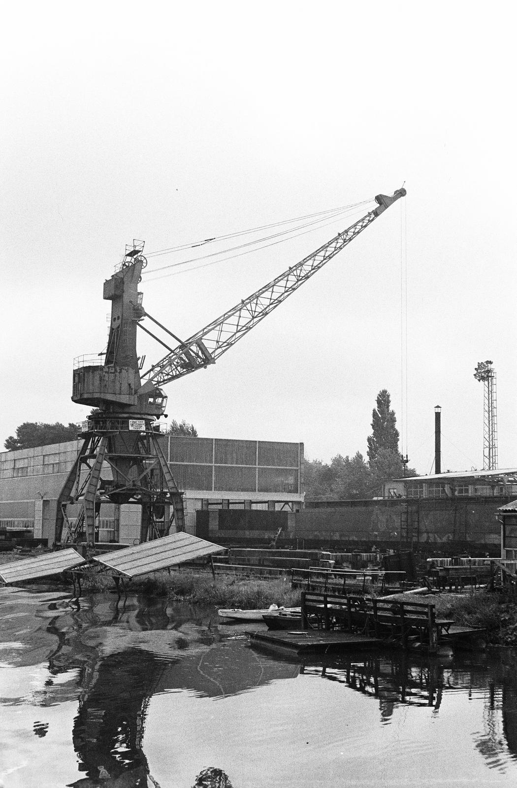 1983, Mezei Attila, Fortepan #293352