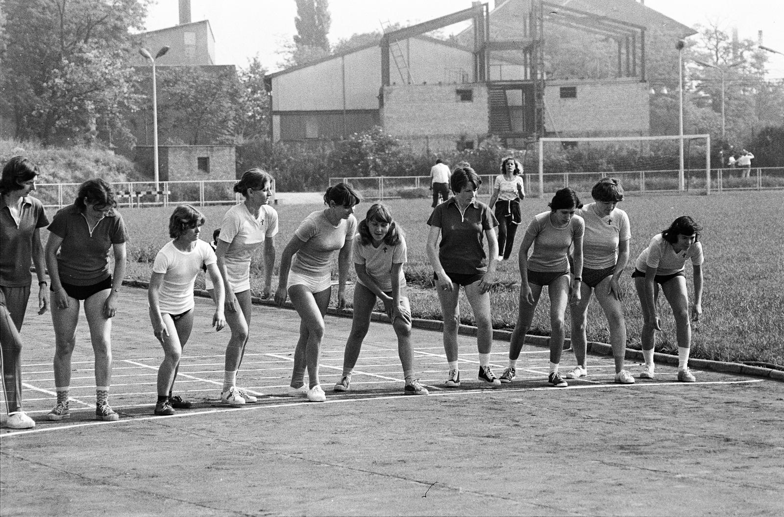 1973, Mezei Attila, Fortepan #293363