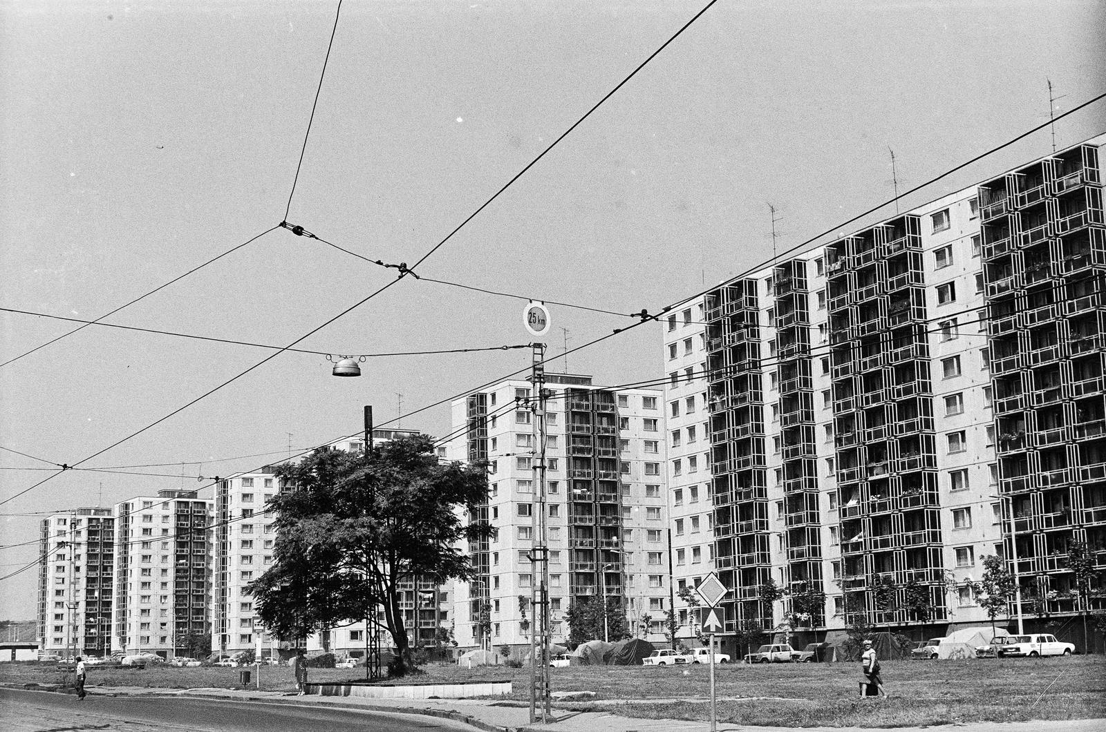 1982, Mezei Attila, Fortepan #293403