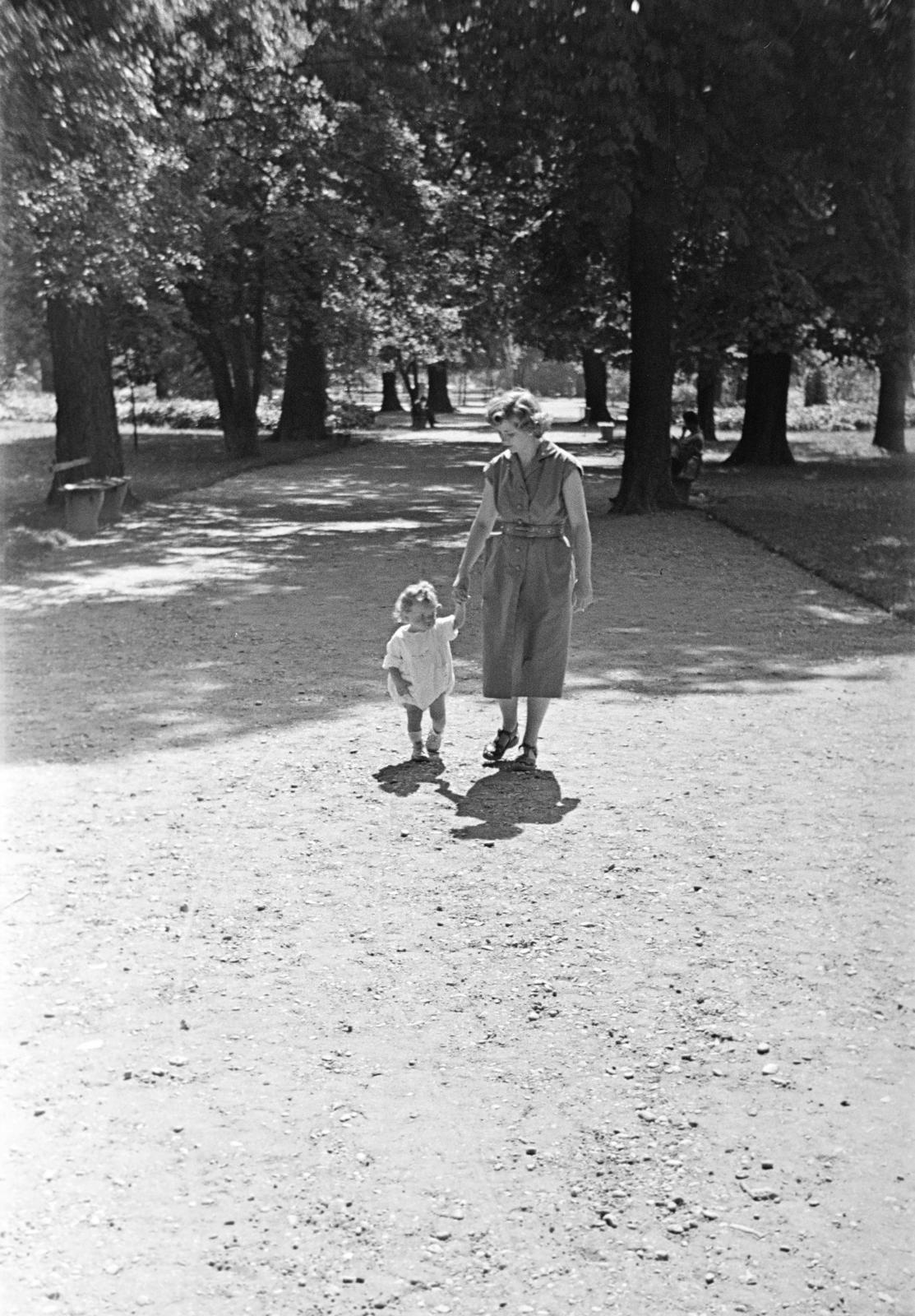 1954, Kárpát Vilmos, Fortepan #293468