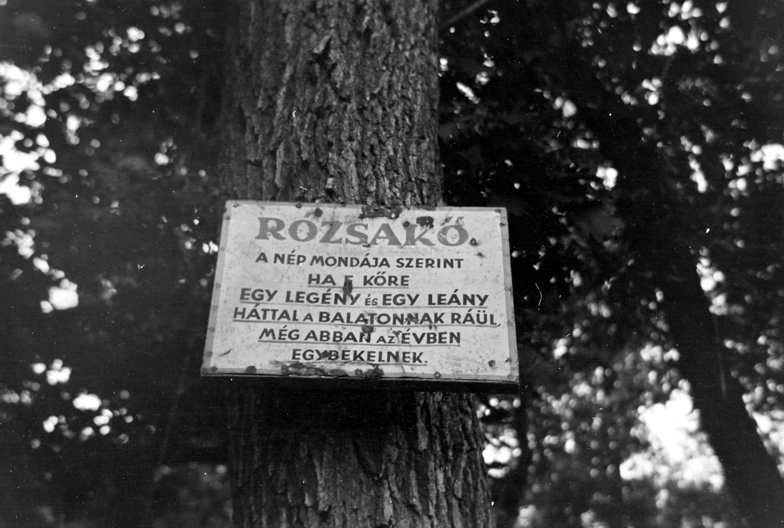 1956, Kárpát Vilmos, Fortepan #293505