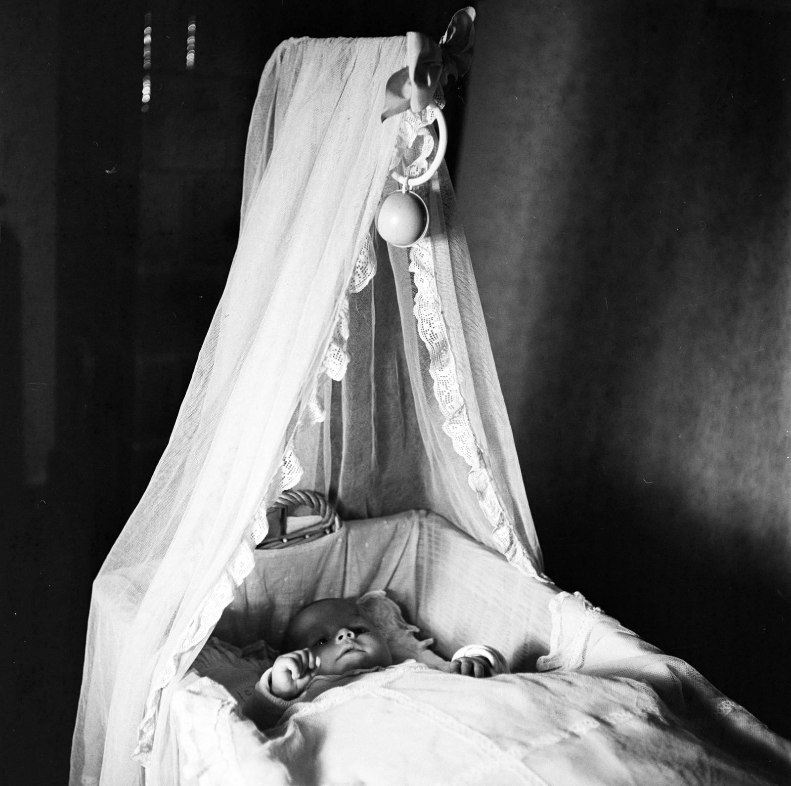 1936, Akácos Sándor, newborn, Fortepan #293604