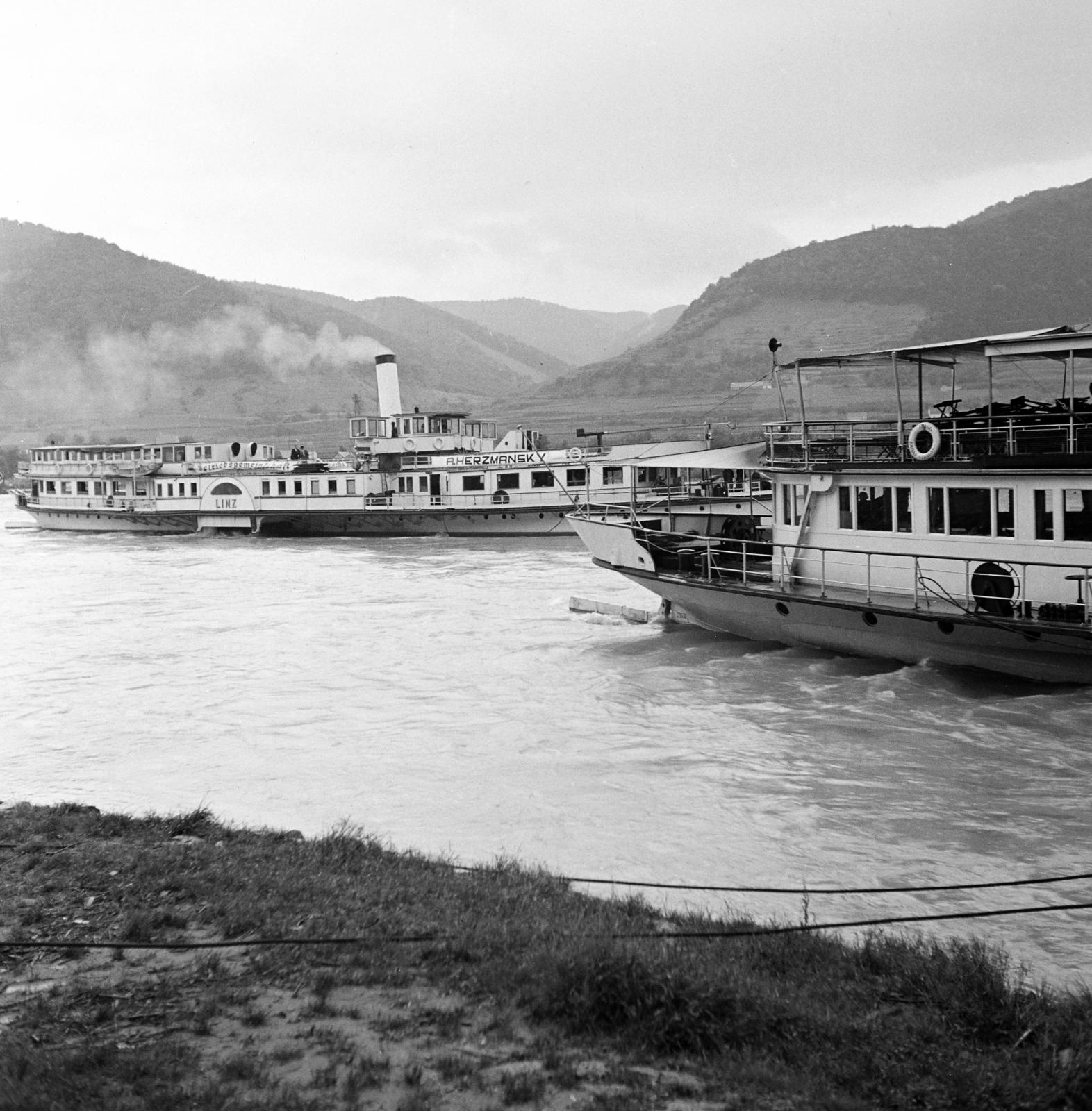 1936, Akácos Sándor, Fortepan #293625