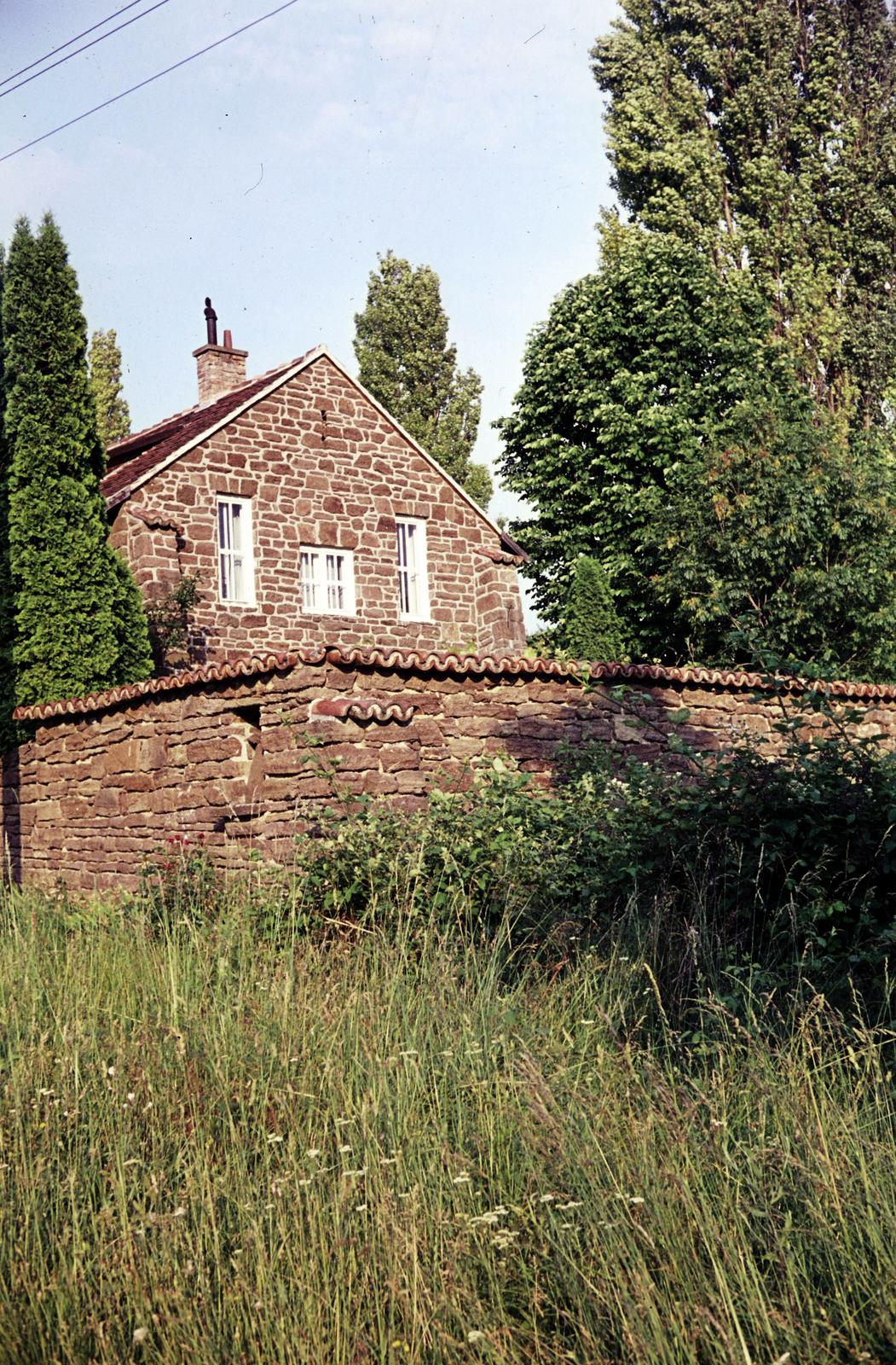 Magyarország,Balaton, Tihany, a felvétel Borsos Miklós Kossuth-díjas szobrászművész házánál készült., 1970, Fortepan/Album100, Fortepan #293808
