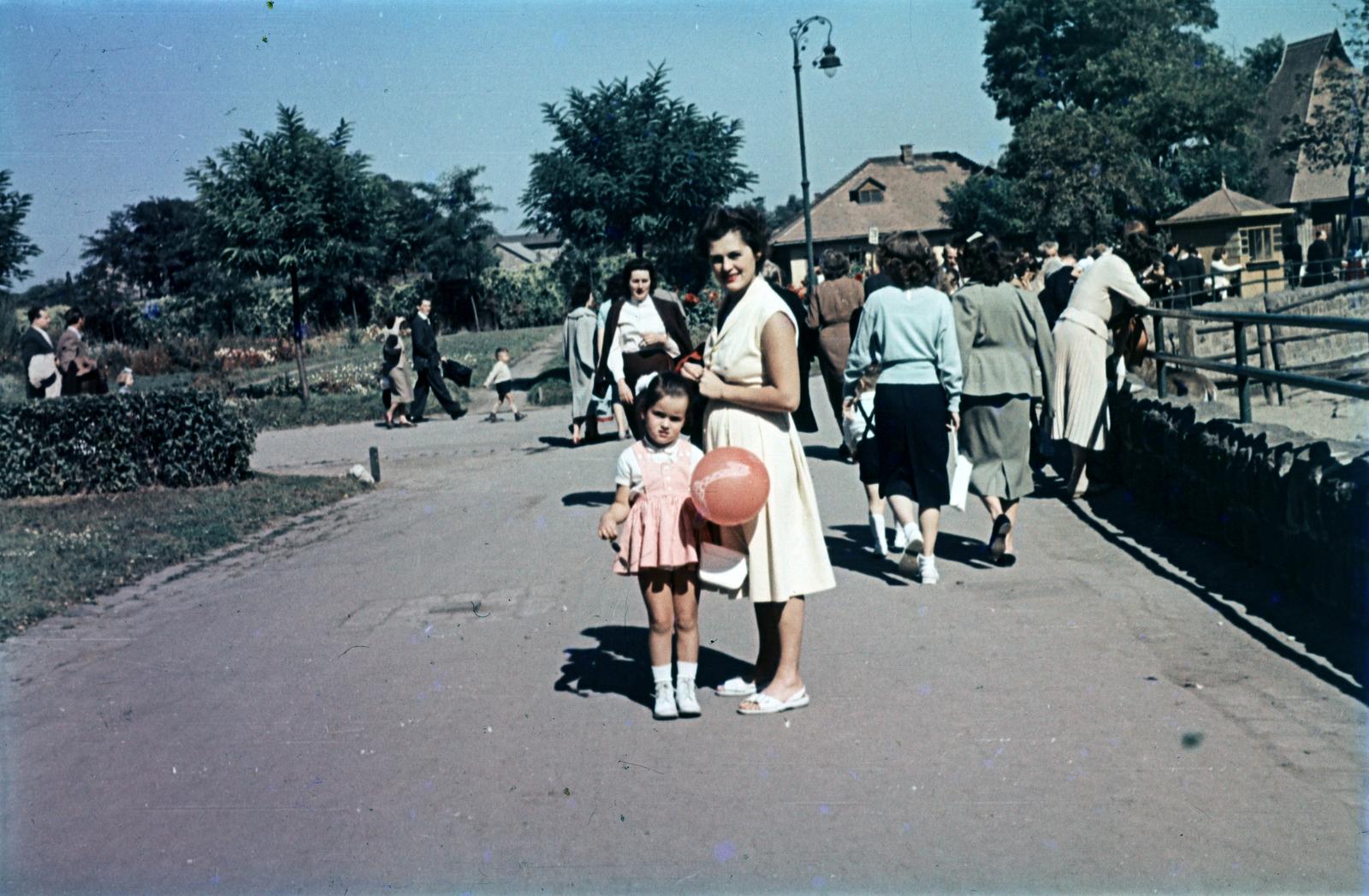 1958, Varga Béla dr., Fortepan #293925