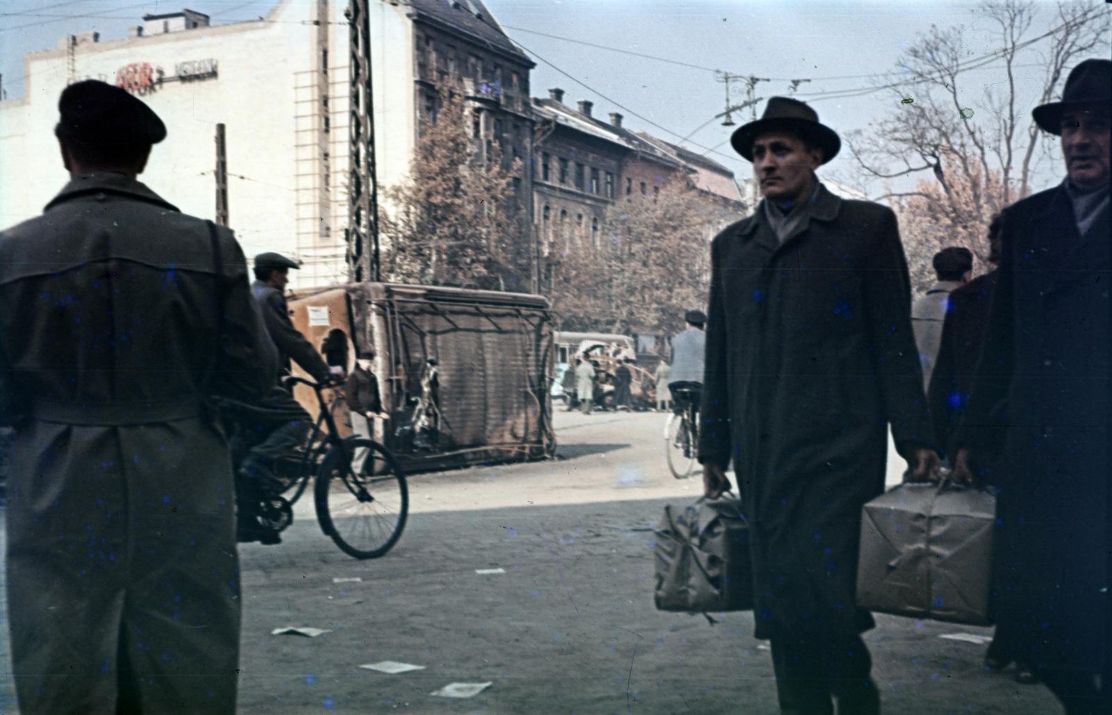 1956, Varga Béla dr., kerékpár, Fortepan #293938
