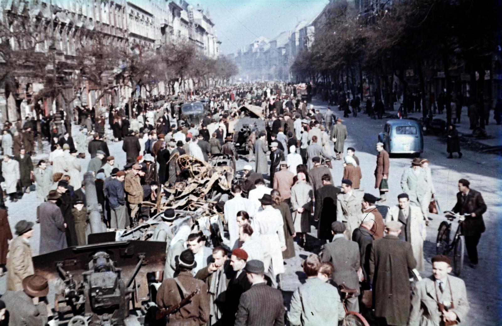 1956, Varga Béla dr., menet, színes, Fortepan #293947