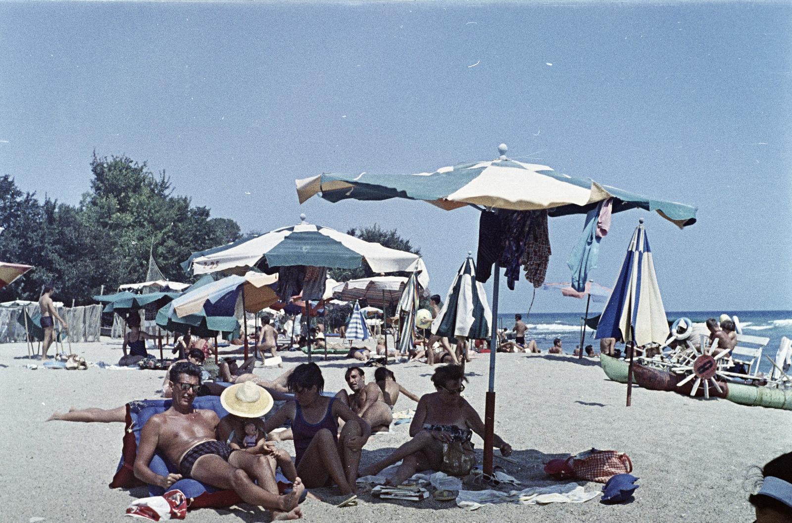 1961, Varga Béla dr., Fortepan #293948