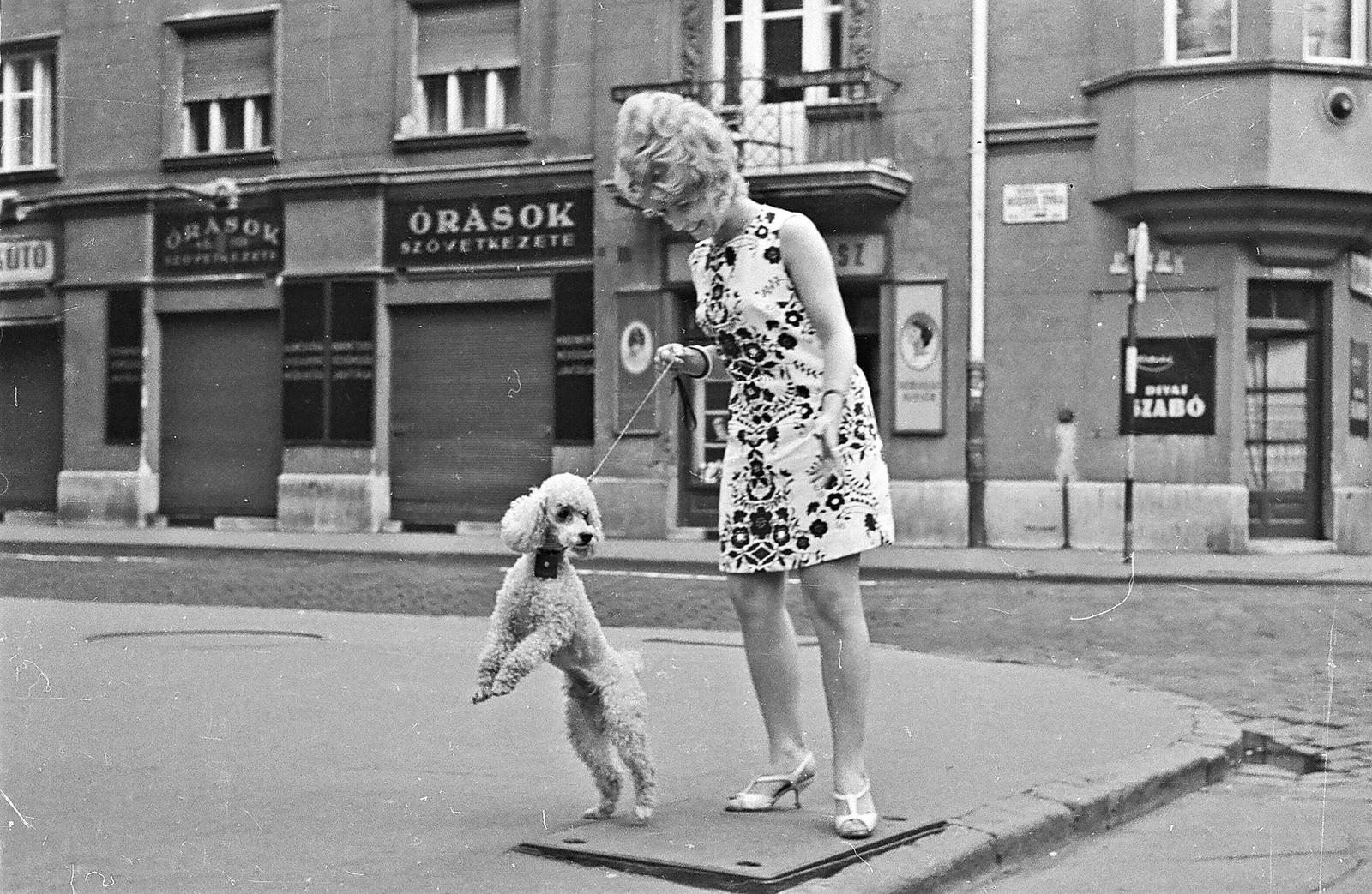 Magyarország, Budapest XIII., Balzac utca, a felvétel a Hegedűs Gyula utcai kereszteződésnél készült., 1971, Erős Csaba, Budapest, Fortepan #293985