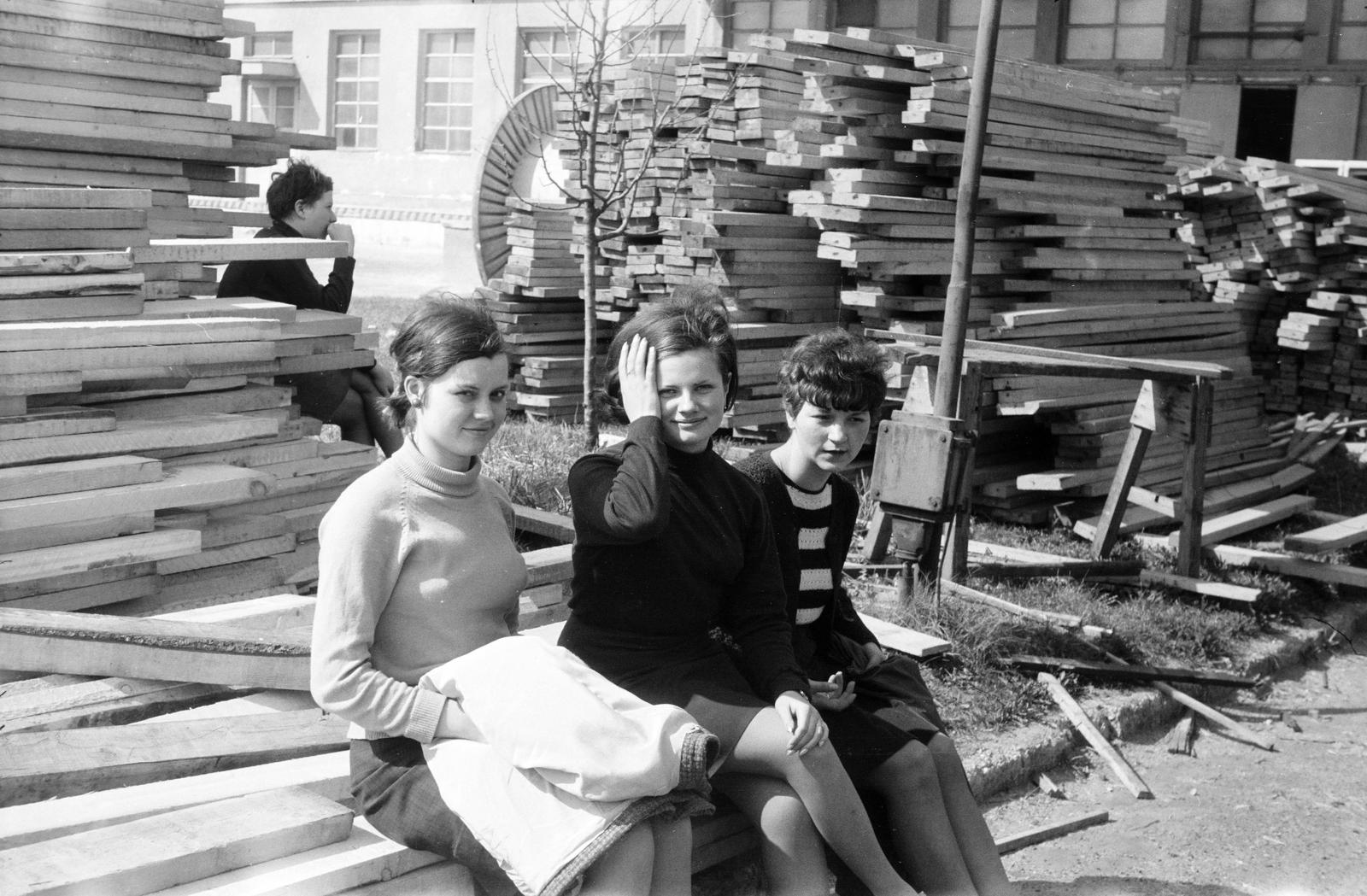 Hungary, Sopron, Terv utca 2., a felvétel a Soproni Épületasztalosipari Vállalat udvarán készült., 1965, Fortepan/Album091, Best of, girls, pile of boards, cable drum, hairdo, Fortepan #294083