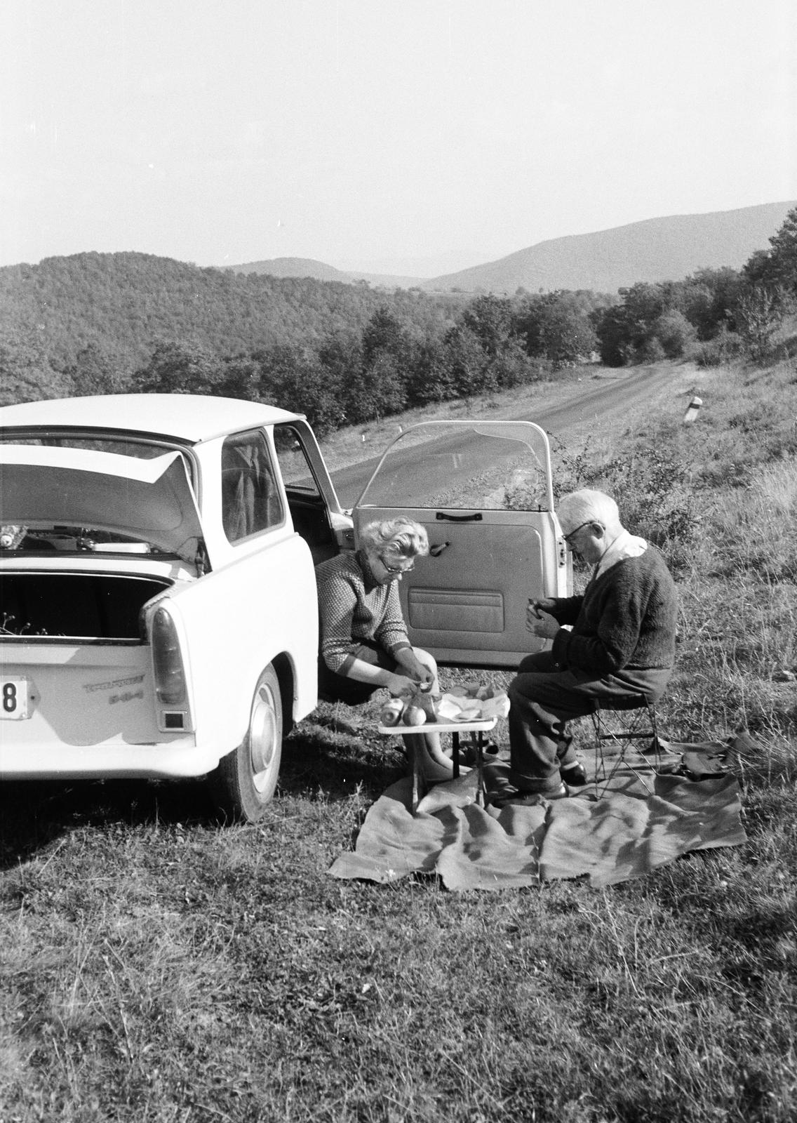 1977, Fortepan/Album091, Best of, Trabant 601, Trabant-márka, pihenés, étkezés, kirándulás, idős ember, Fortepan #294095