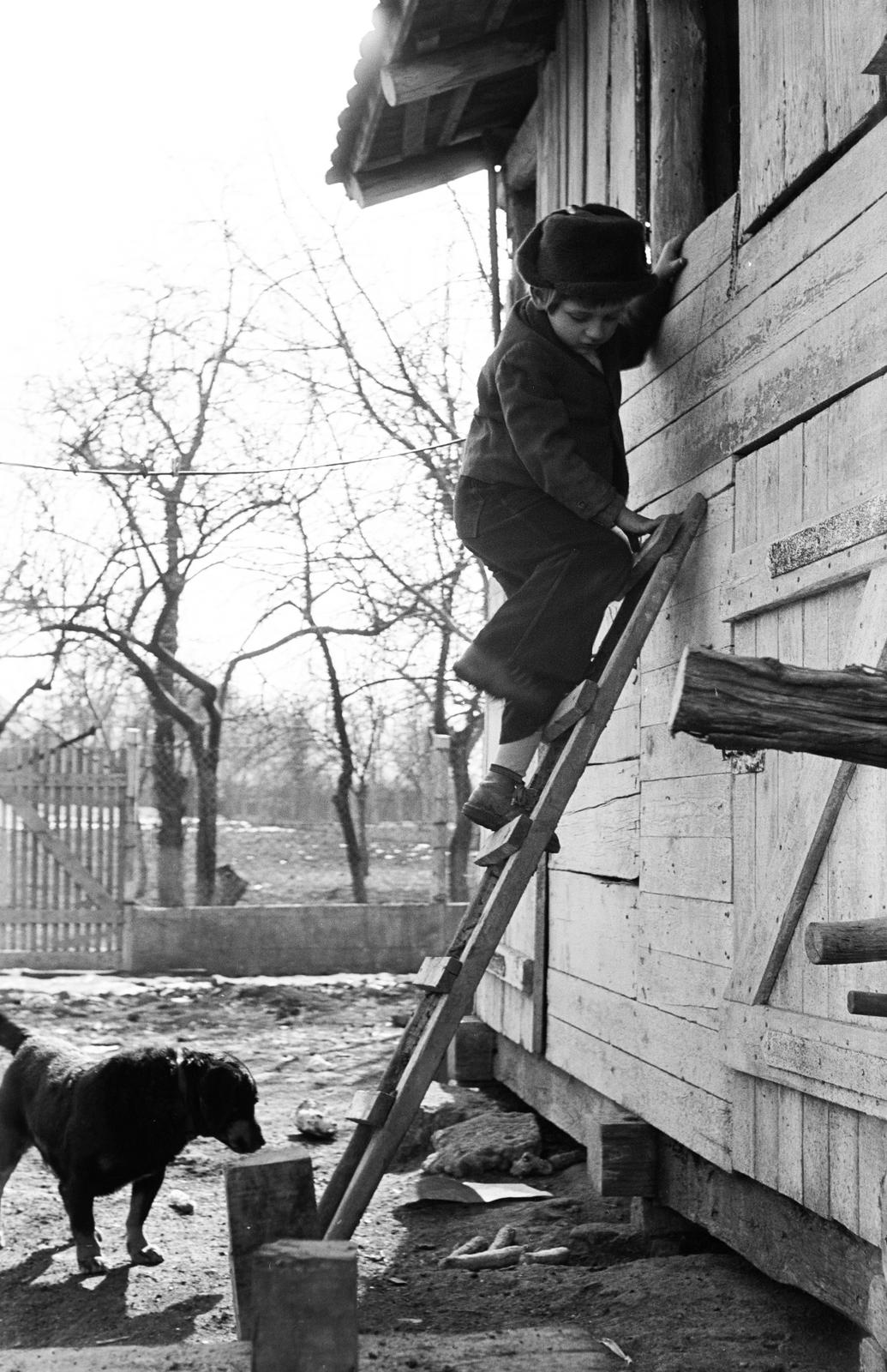 1968, Fortepan/Album091, Fortepan #294127