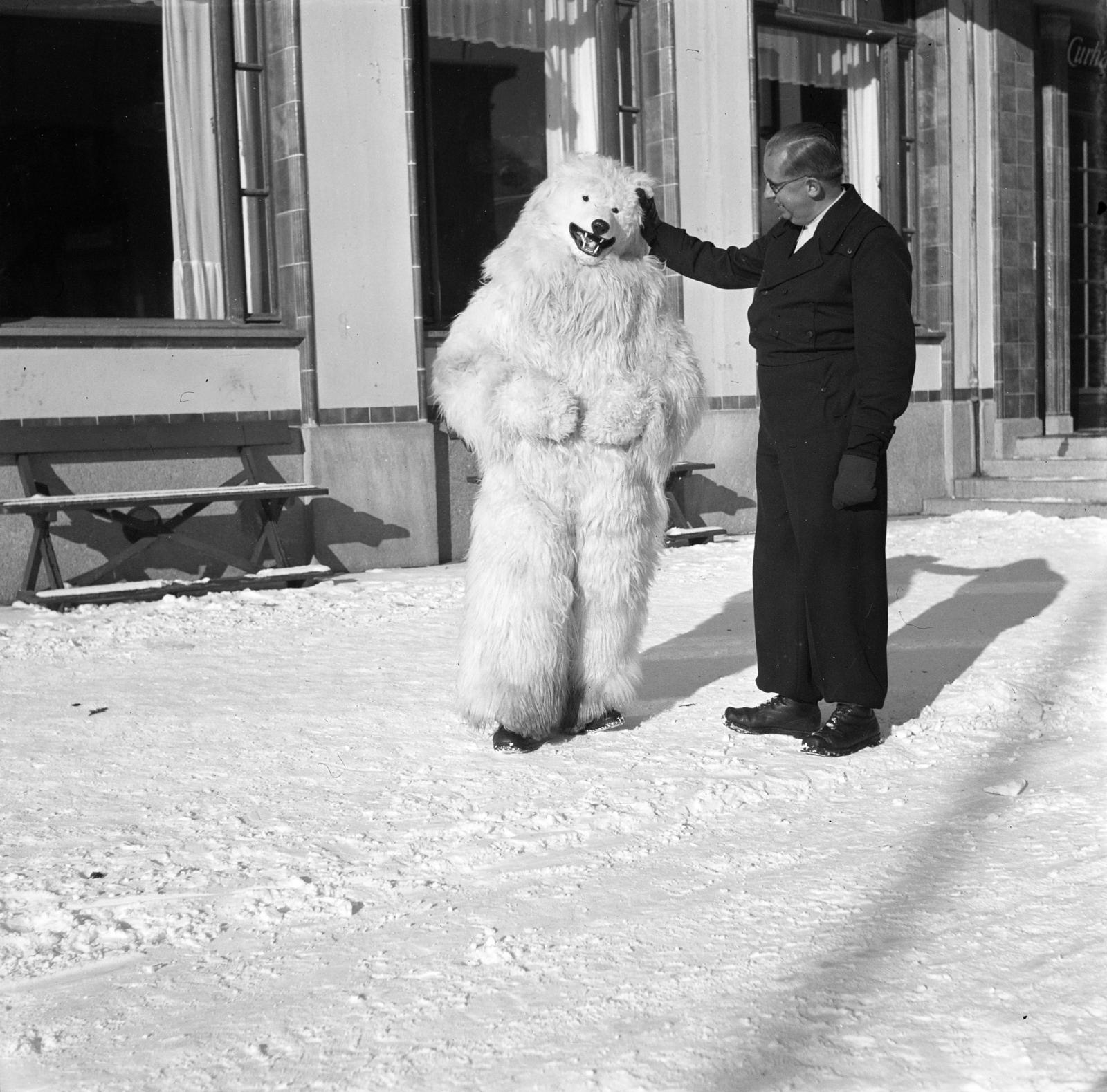 1937, Molnár Csaba, Best of, jesting, photo aspect ratio: square, polar bear, costume, Fortepan #294255