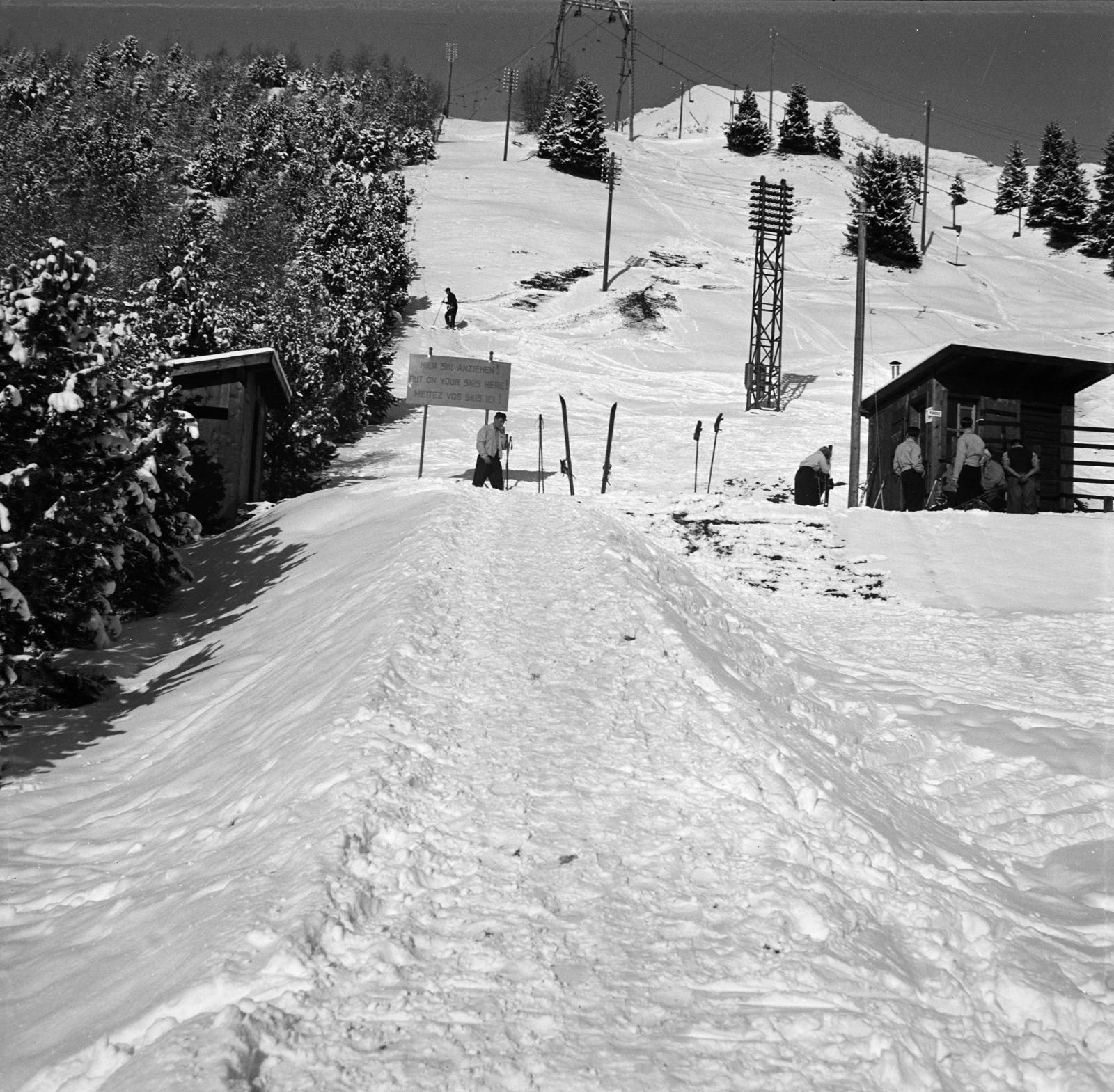 1937, Molnár Csaba, Fortepan #294264