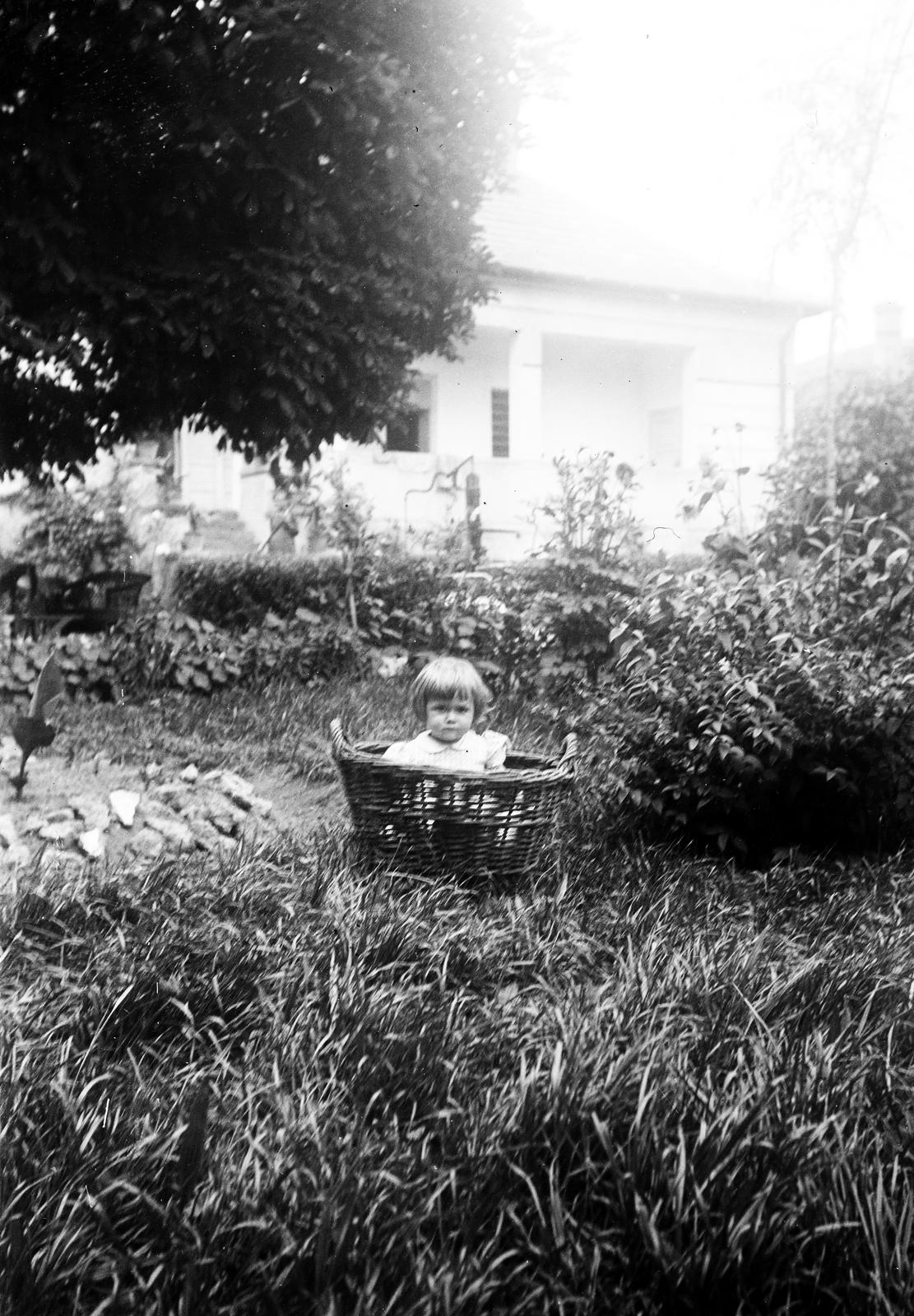 1931, Victor János dr., kosár, Fortepan #294293