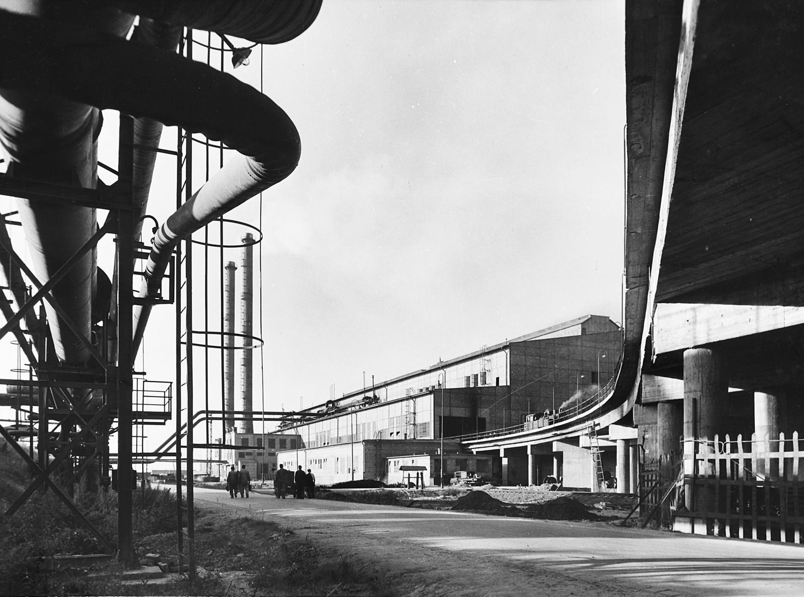 1959, Peti Péter, Fortepan #294327