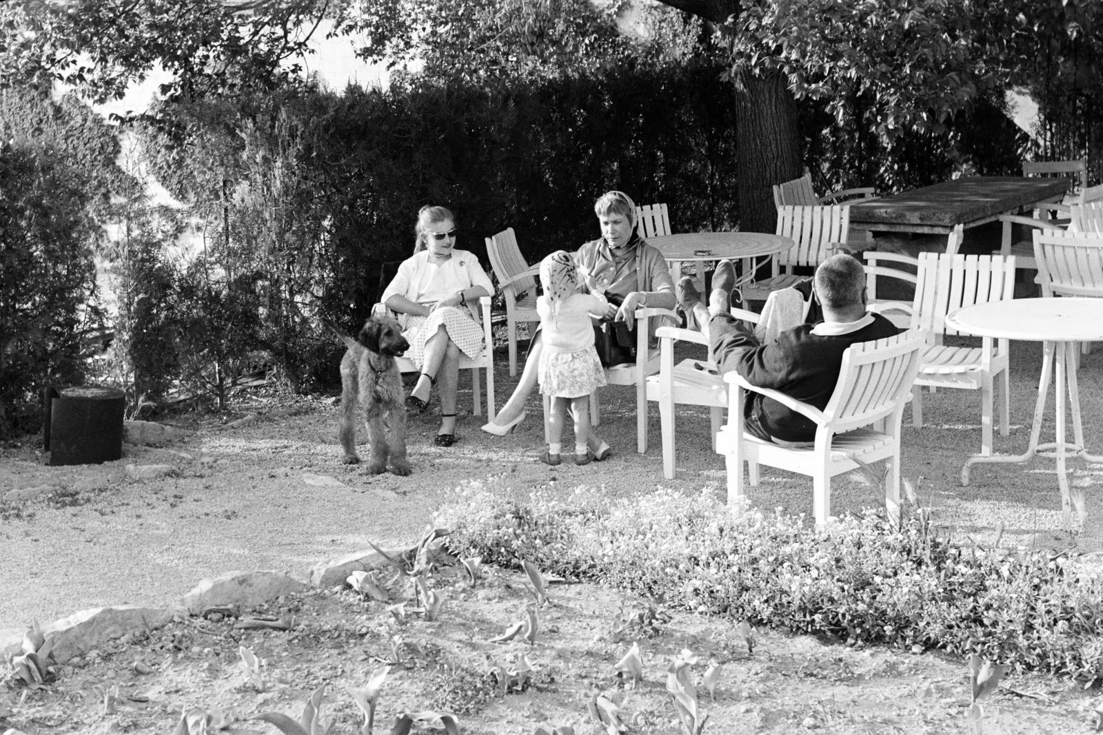 1959, Varga Péter, Fortepan #294376