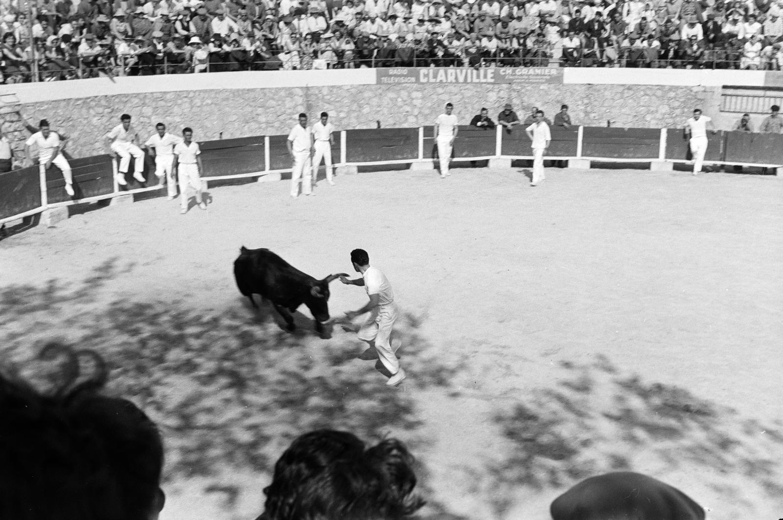 1959, Varga Péter, white dress, bullfighting, bullring, Fortepan #294384