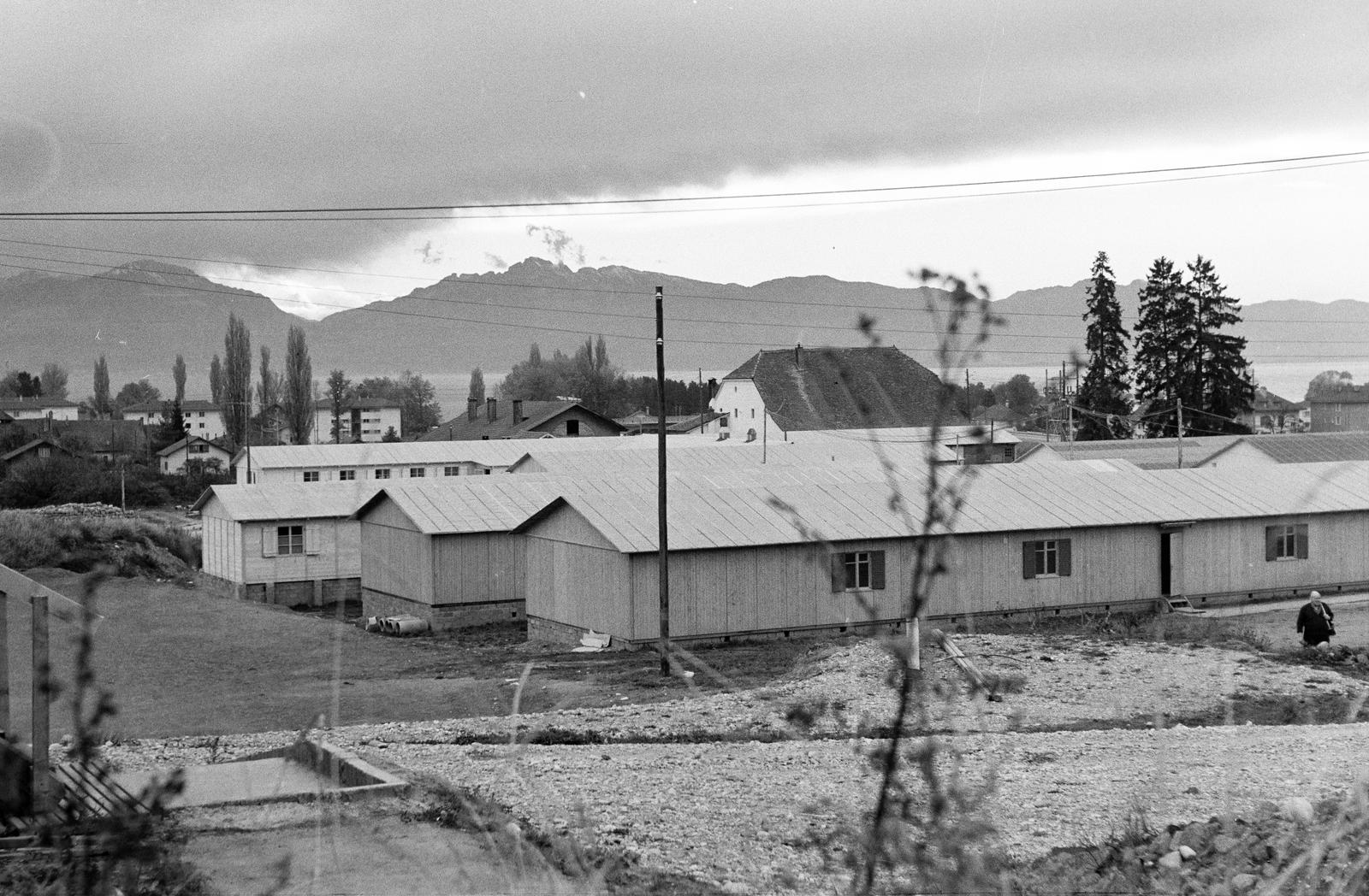 1961, Varga Péter, Fortepan #294467