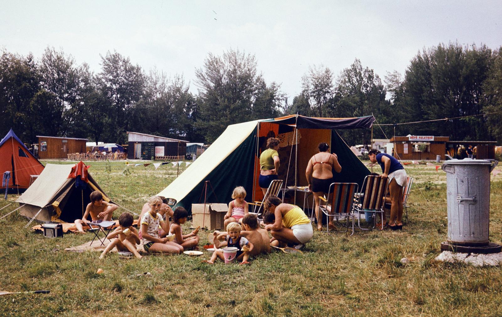 1977, Sári Katalin, Fortepan #294523