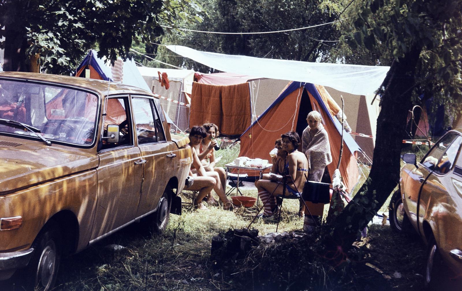 1977, Sári Katalin, Fortepan #294529