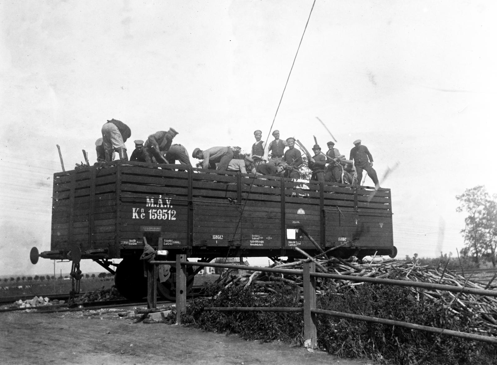 1916, Urbánné dr. Lux Judit, Lux Gyula, vasúti szerelvény, tüzifa, Fortepan #294579