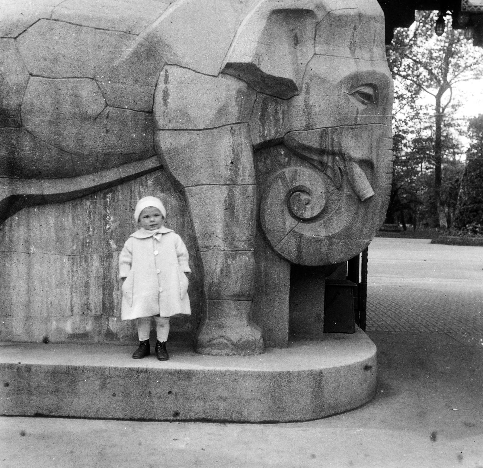 Magyarország, Városliget, Budapest XIV., Állatkerti körút, a felvétel az Állatkert főbejáratánál készült., 1916, Urbánné dr. Lux Judit, Lux Gyula, állatkert, elefánt, Budapest, Fortepan #294601