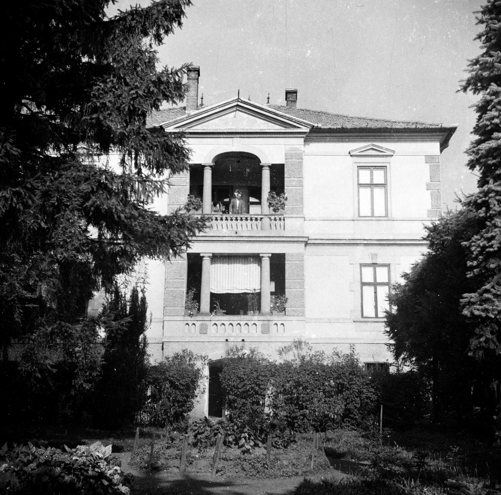 1916, Urbánné dr. Lux Judit, Lux Gyula, épület, timpanon, Fortepan #294606