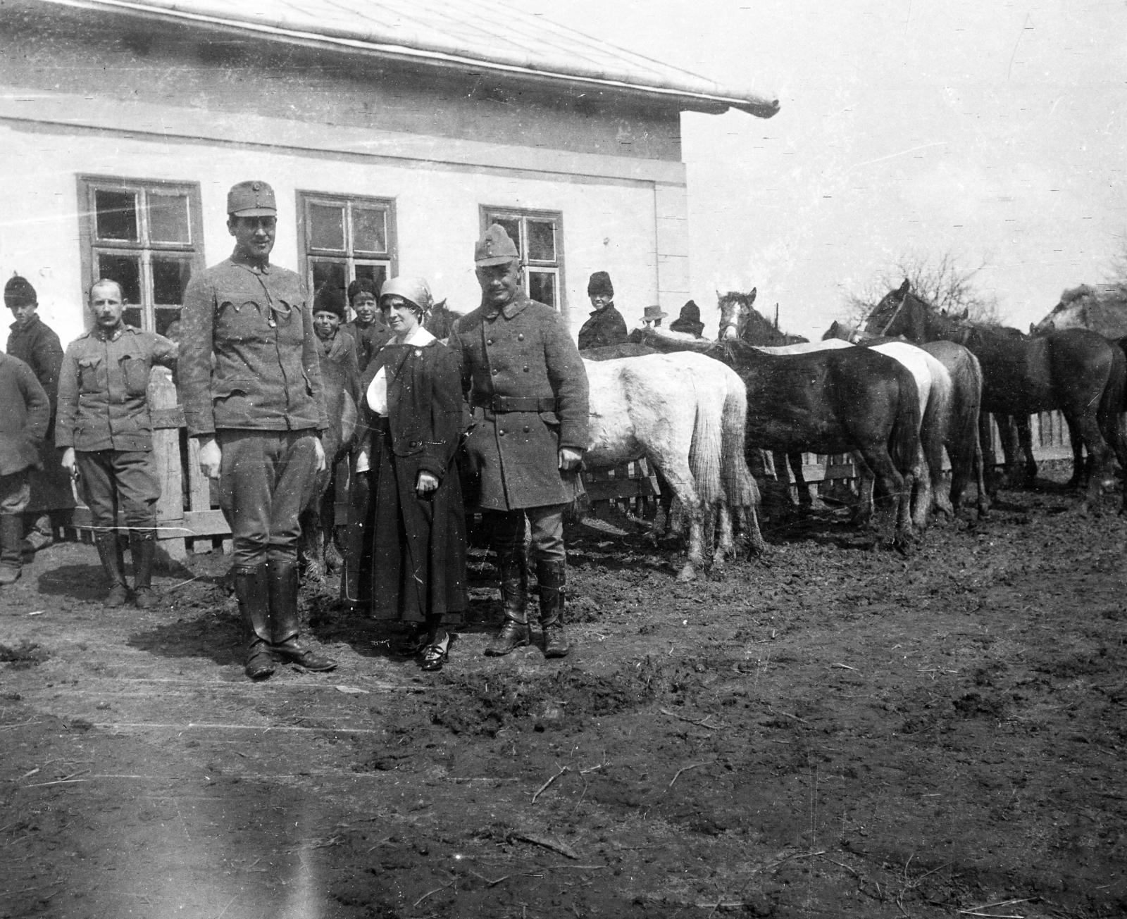 1916, Urbánné dr. Lux Judit, Lux Gyula, ló, katona, első világháború, Fortepan #294639