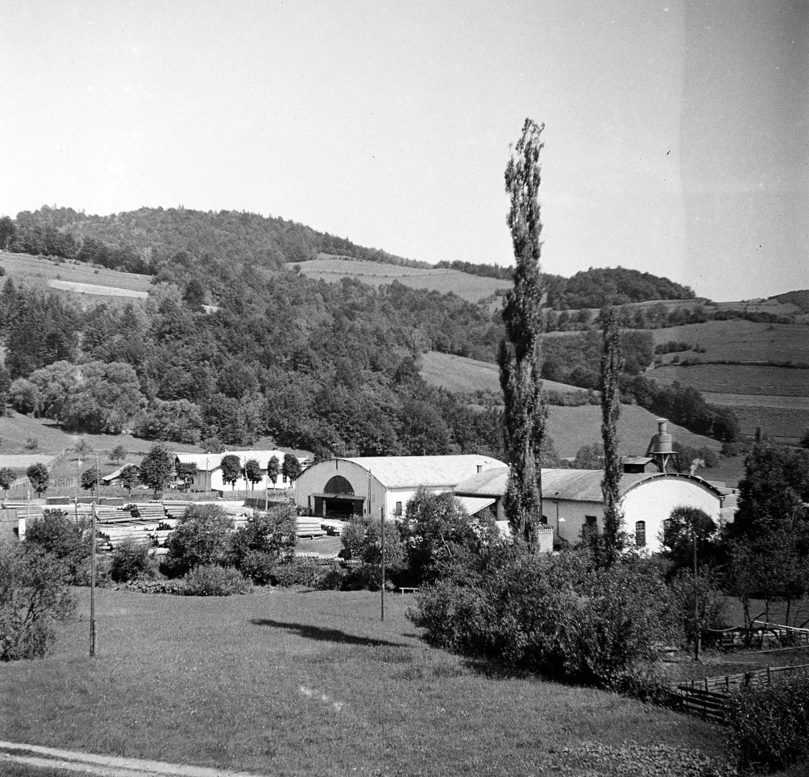 Szlovákia, Dobsina, a város fűrész- és villanytelepe., 1936, Urbánné dr. Lux Judit, Lux Gyula, Fortepan #294658