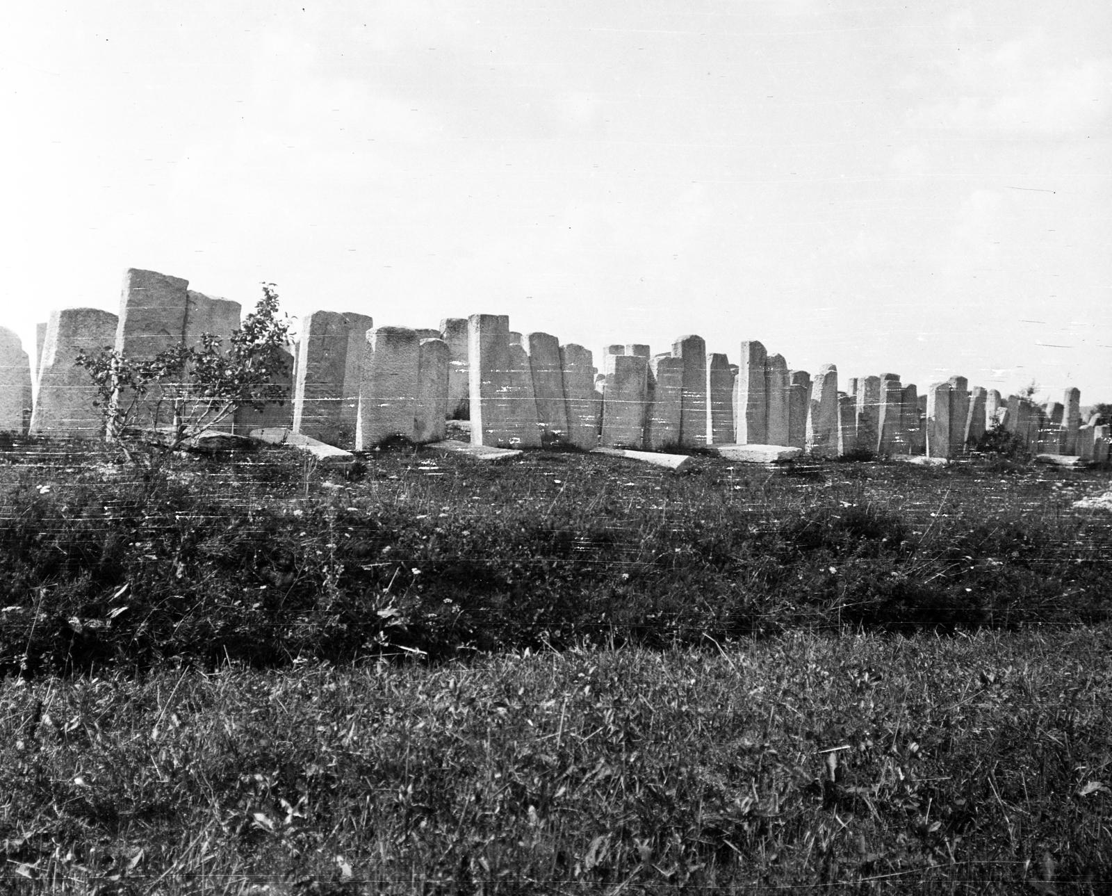1917, Urbánné dr. Lux Judit, tombstone, Fortepan #294725