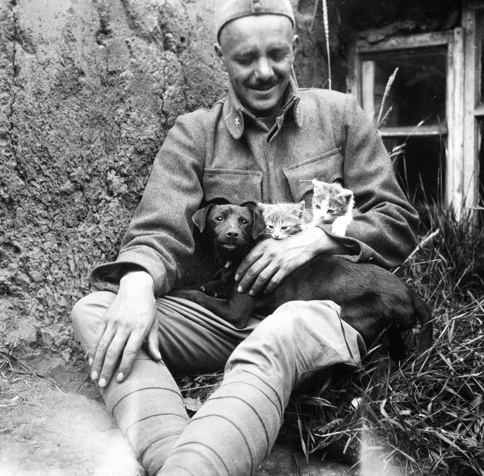 1917, Urbánné dr. Lux Judit, Lux Gyula, szeretet, macska, kölyökkutya, képarány: négyzetes, katona, első világháború, Fortepan #294727
